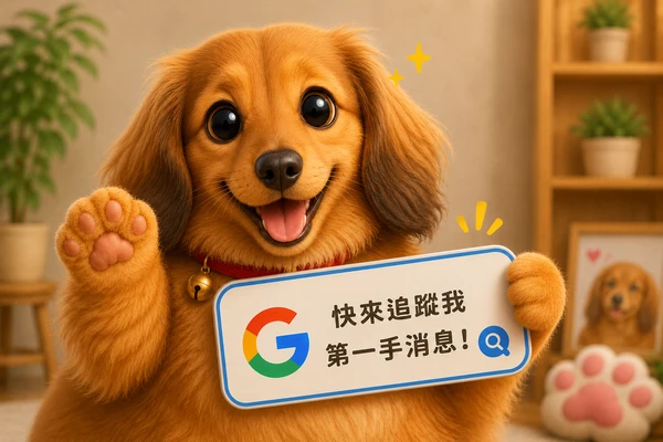 Google 偏好來源