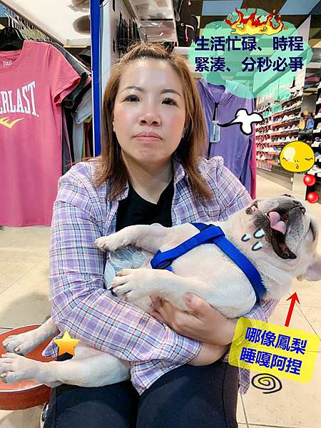 (frenchbulldog)cosnature德國植萃檸檬香蜂草控油潔顏慕斯48(frenchbulldog).jpg (frenchbulldog)cosnature德國植萃檸檬香蜂草控油潔顏慕斯48(frenchbulldog).jpg