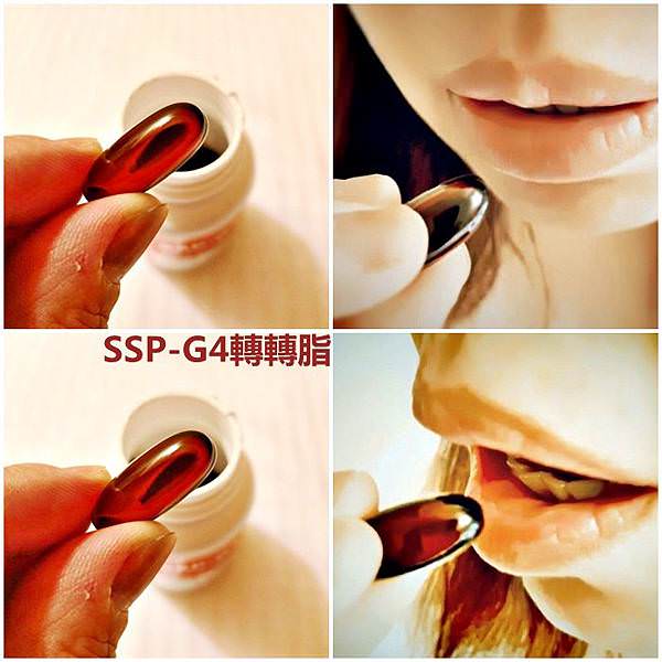美國SSP-G4轉轉脂56.jpg 美國SSP-G4轉轉脂56.jpg
