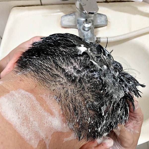 ELASTINE綠野迷情奢華香水洗髮精3.jpg ELASTINE綠野迷情奢華香水洗髮精3.jpg