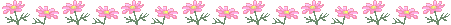undefined undefined