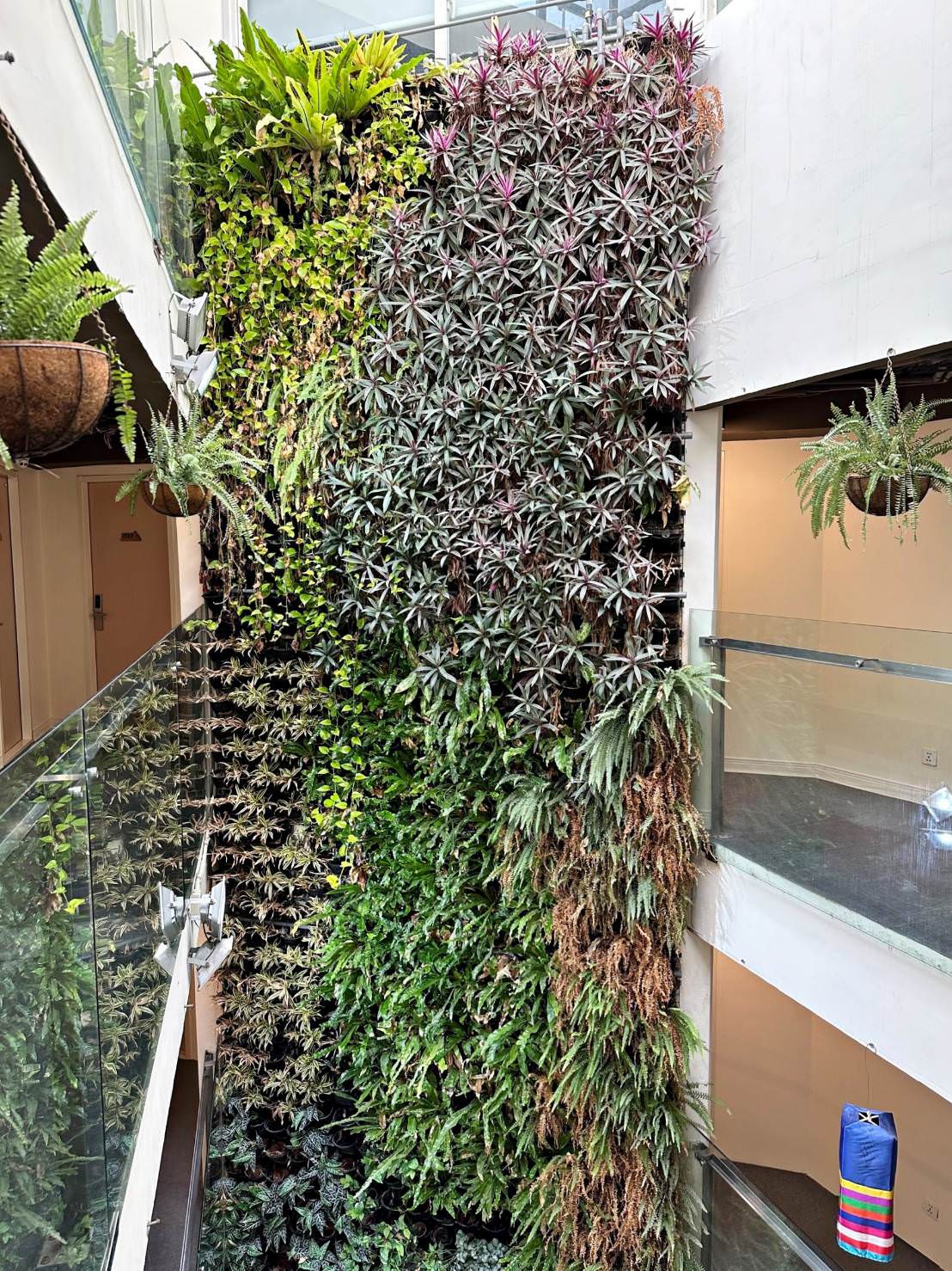 台中西屯區住宿推薦｜台中逢甲住宿．葉綠宿旅館Green Hotel｜室內就能享受採光、綠意與日光窗景，距離逢甲夜市步行不到5分鐘，吃喝玩樂生活機能方便之逢甲葉綠宿旅館入住心得分享！