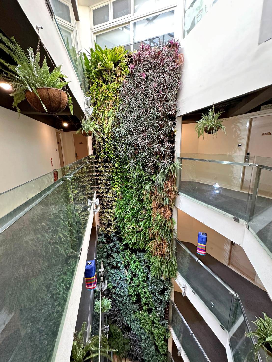 台中西屯區住宿推薦｜台中逢甲住宿．葉綠宿旅館Green Hotel｜室內就能享受採光、綠意與日光窗景，距離逢甲夜市步行不到5分鐘，吃喝玩樂生活機能方便之逢甲葉綠宿旅館入住心得分享！