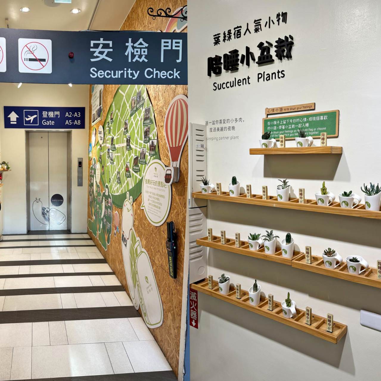 台中西屯區住宿推薦｜台中逢甲住宿．葉綠宿旅館Green Hotel｜室內就能享受採光、綠意與日光窗景，距離逢甲夜市步行不到5分鐘，吃喝玩樂生活機能方便之逢甲葉綠宿旅館入住心得分享！