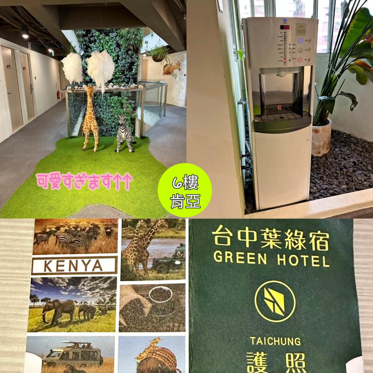 台中西屯區住宿推薦｜台中逢甲住宿．葉綠宿旅館Green Hotel｜室內就能享受採光、綠意與日光窗景，距離逢甲夜市步行不到5分鐘，吃喝玩樂生活機能方便之逢甲葉綠宿旅館入住心得分享！