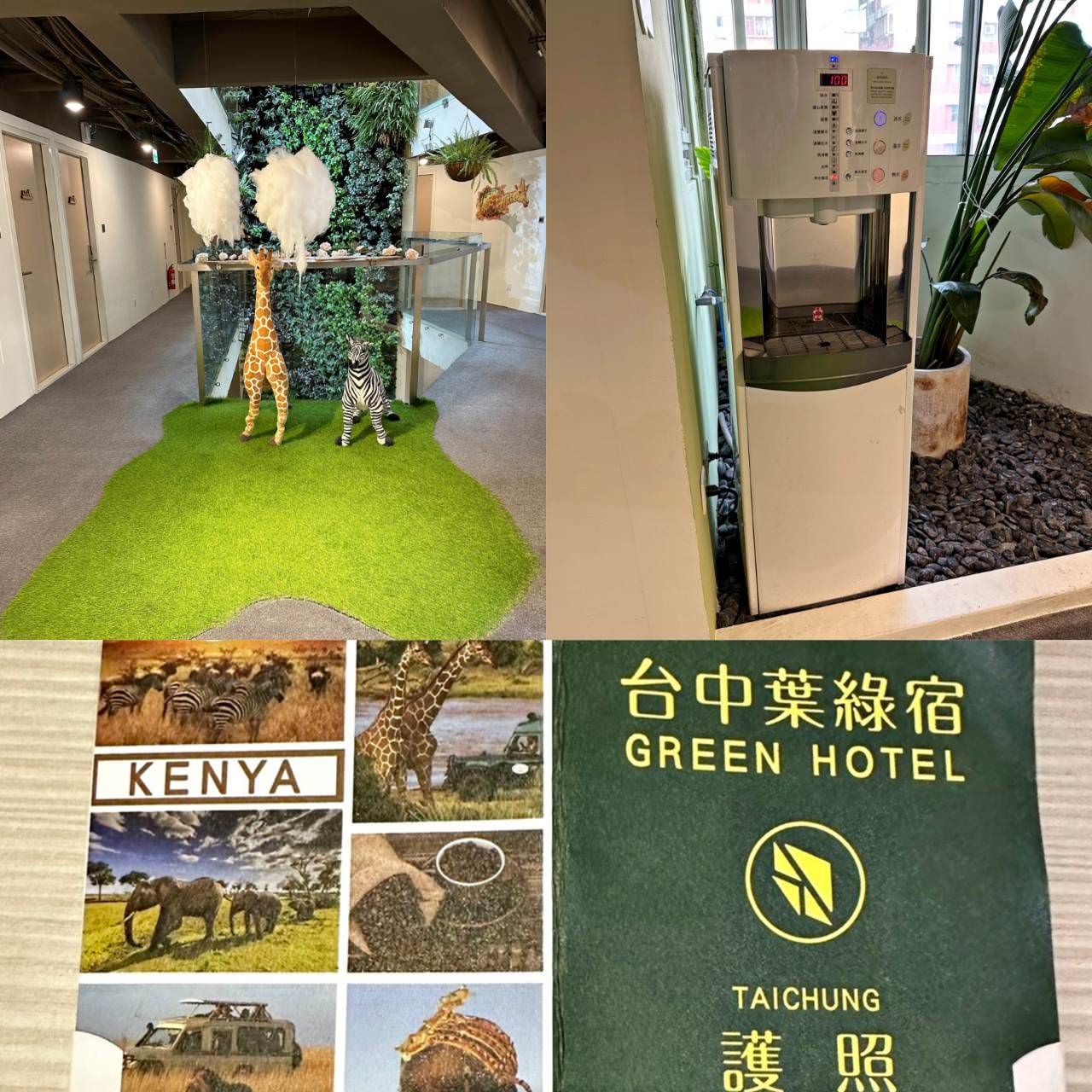 台中西屯區住宿推薦｜台中逢甲住宿．葉綠宿旅館Green Hotel｜室內就能享受採光、綠意與日光窗景，距離逢甲夜市步行不到5分鐘，吃喝玩樂生活機能方便之逢甲葉綠宿旅館入住心得分享！