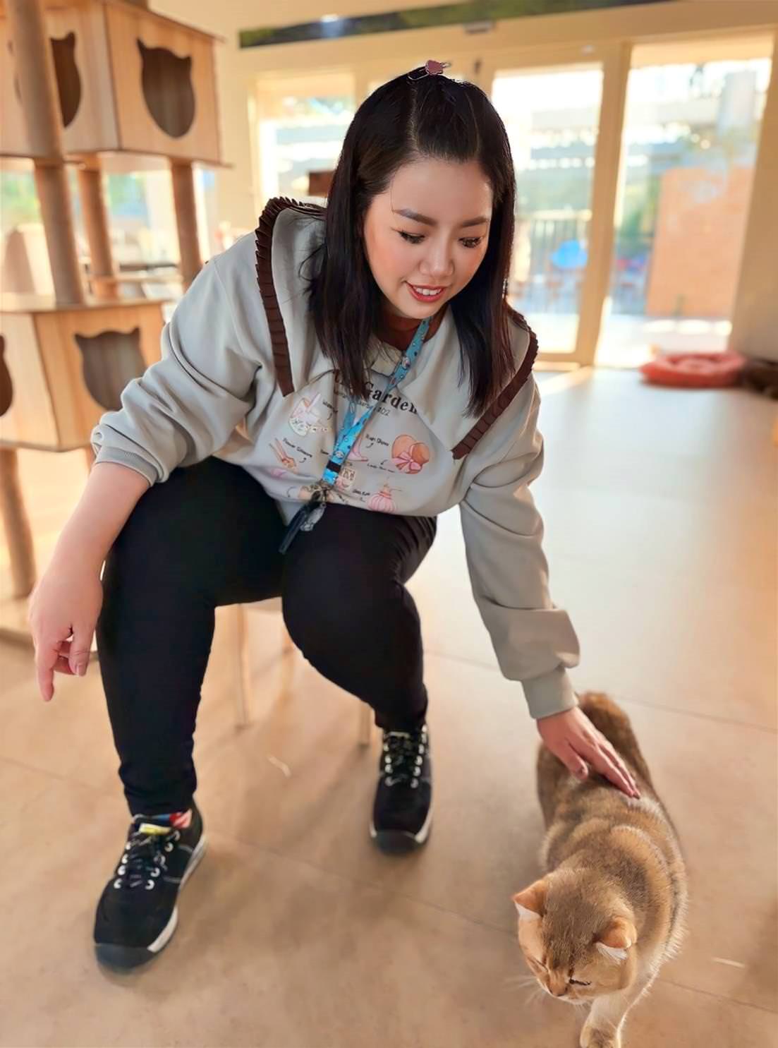 台中市大甲區露營推薦|踏親Touching露營區、寵物親子餐廳|來場說走就走的懶人露營,被貓貓環繞的親子寵物餐廳,近鐵砧山風景區享絕美夜景! - 第29張圖 台中市大甲區露營推薦|踏親Touching露營區、寵物親子餐廳|來場說走就走的懶人露營,被貓貓環繞的親子寵物餐廳,近鐵砧山風景區享絕美夜景!