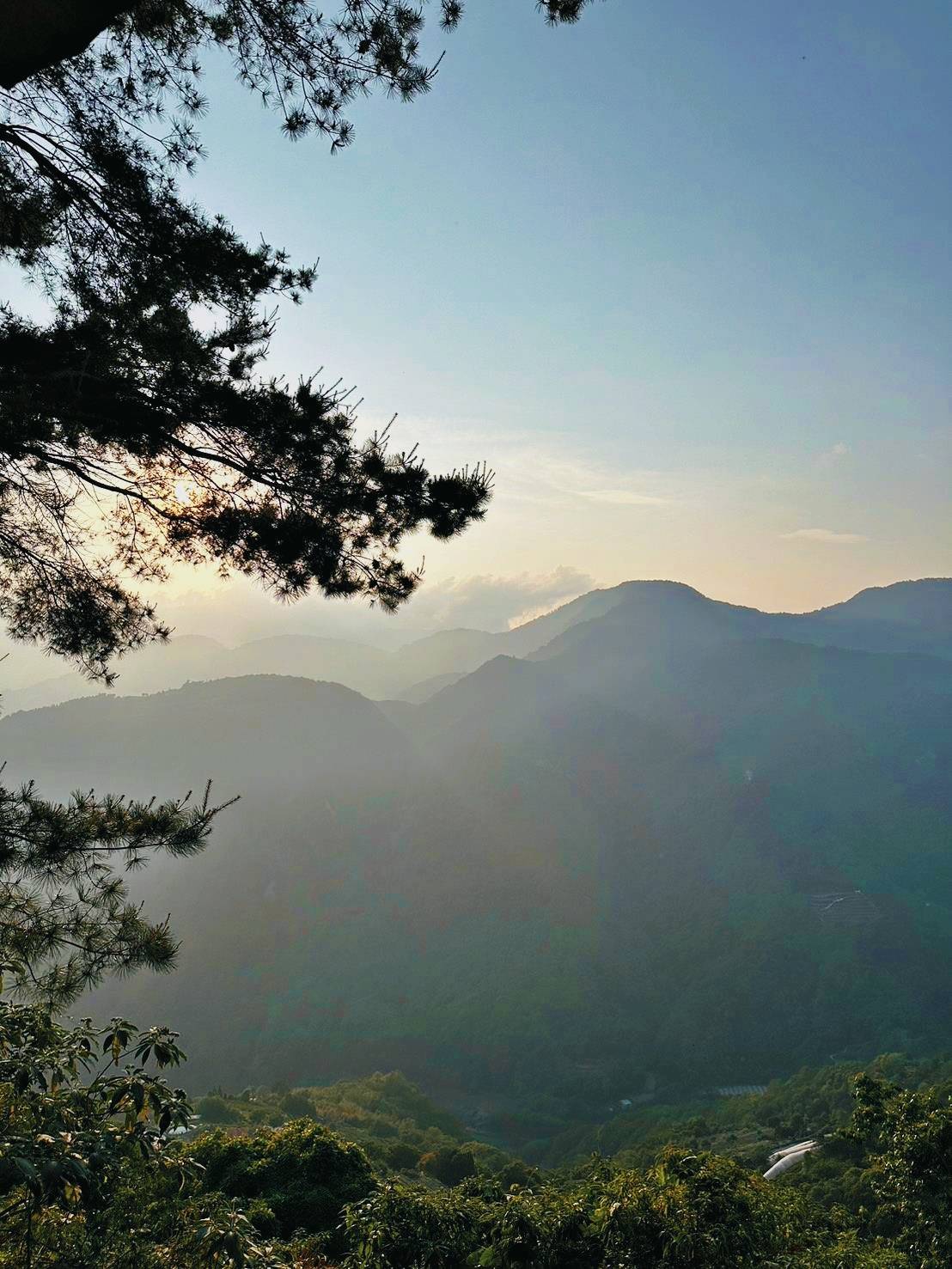 南投縣仁愛鄉民宿推薦|清境茲心園渡假山莊|座落海拔約1650公尺層巒疊翠山景,宛如人間仙境觀賞碧湖風光最佳景點,多種房型選擇滿足旅人住宿與包棟民宿之入住心得分享! - 第130張圖 南投縣仁愛鄉民宿推薦|清境茲心園渡假山莊|座落海拔約1650公尺層巒疊翠山景,宛如人間仙境觀賞碧湖風光最佳景點,多種房型選擇滿足旅人住宿與包棟民宿之入住心得分享!
