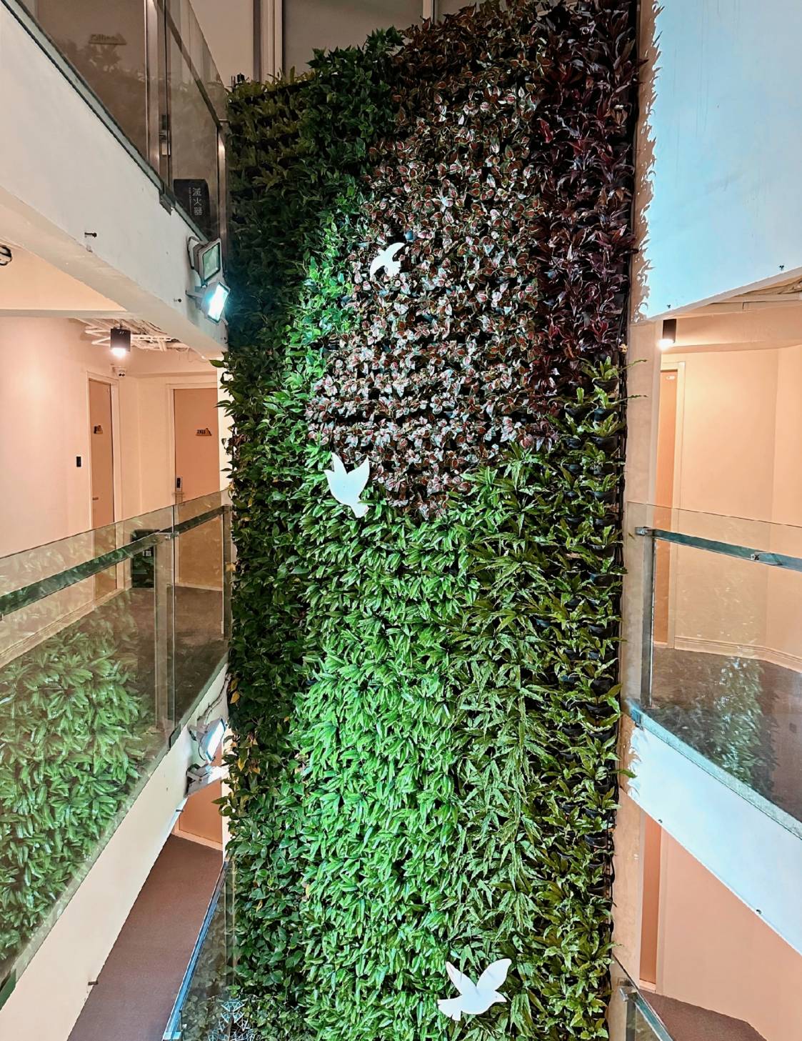 台中西屯區住宿推薦|台中逢甲住宿.葉綠宿旅館Green Hotel|二訪入住精緻雙人客房,有對外窗採光充足,公共空間綠意共鳴,距離逢甲夜市步行不到5分鐘,吃喝玩樂生活機能方便之逢甲葉綠宿旅館入住心得分享! - 第83張圖 台中西屯區住宿推薦|台中逢甲住宿.葉綠宿旅館Green Hotel|二訪入住精緻雙人客房,有對外窗採光充足,公共空間綠意共鳴,距離逢甲夜市步行不到5分鐘,吃喝玩樂生活機能方便之逢甲葉綠宿旅館入住心得分享!