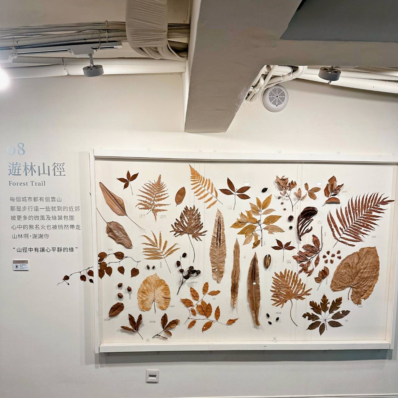 台中西屯區住宿推薦|台中逢甲住宿.葉綠宿旅館Green Hotel|二訪入住精緻雙人客房,有對外窗採光充足,公共空間綠意共鳴,距離逢甲夜市步行不到5分鐘,吃喝玩樂生活機能方便之逢甲葉綠宿旅館入住心得分享! - 第69張圖 台中西屯區住宿推薦|台中逢甲住宿.葉綠宿旅館Green Hotel|二訪入住精緻雙人客房,有對外窗採光充足,公共空間綠意共鳴,距離逢甲夜市步行不到5分鐘,吃喝玩樂生活機能方便之逢甲葉綠宿旅館入住心得分享!