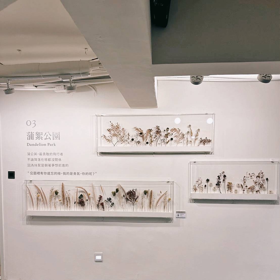 台中西屯區住宿推薦|台中逢甲住宿.葉綠宿旅館Green Hotel|二訪入住精緻雙人客房,有對外窗採光充足,公共空間綠意共鳴,距離逢甲夜市步行不到5分鐘,吃喝玩樂生活機能方便之逢甲葉綠宿旅館入住心得分享! - 第61張圖 台中西屯區住宿推薦|台中逢甲住宿.葉綠宿旅館Green Hotel|二訪入住精緻雙人客房,有對外窗採光充足,公共空間綠意共鳴,距離逢甲夜市步行不到5分鐘,吃喝玩樂生活機能方便之逢甲葉綠宿旅館入住心得分享!