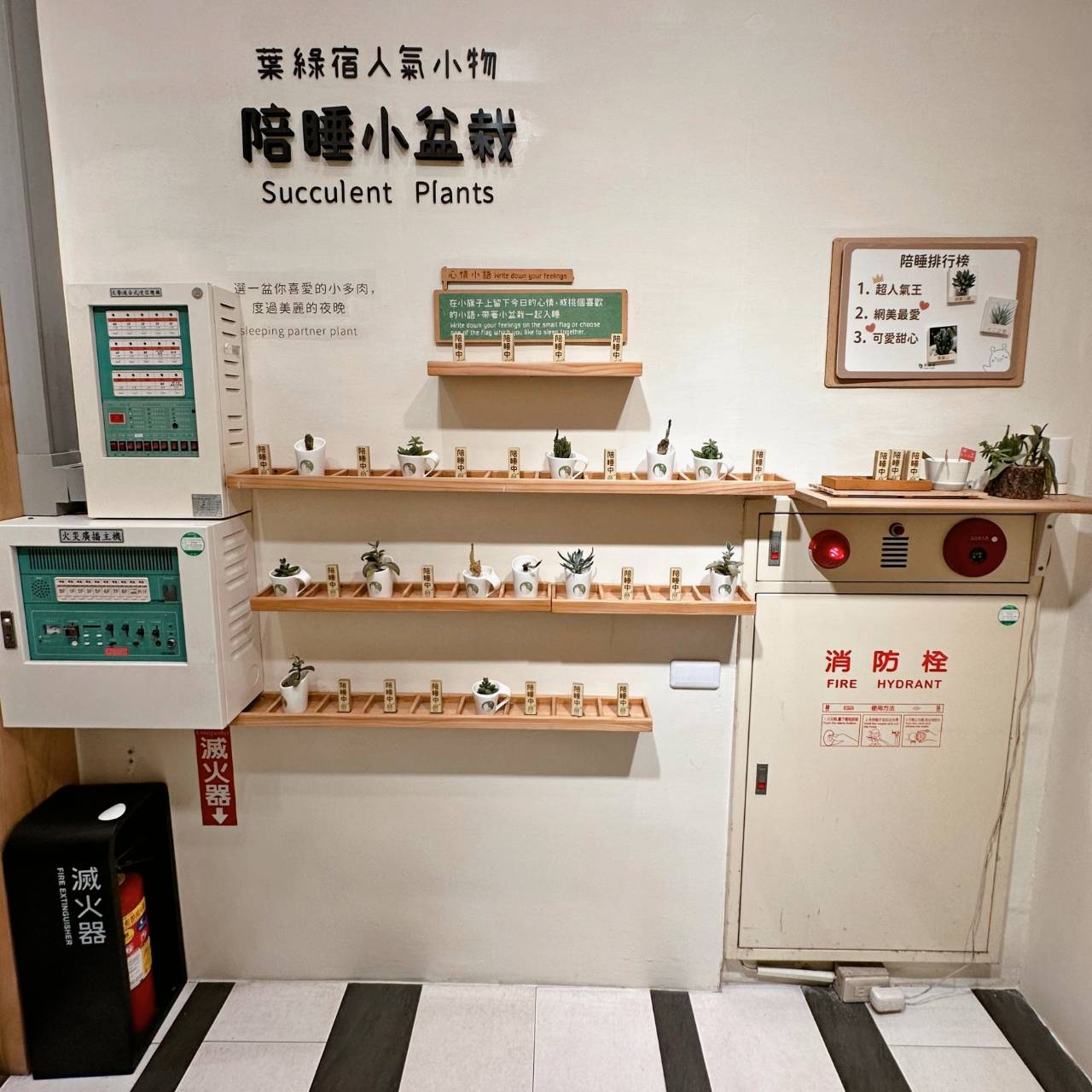 台中西屯區住宿推薦|台中逢甲住宿.葉綠宿旅館Green Hotel|二訪入住精緻雙人客房,有對外窗採光充足,公共空間綠意共鳴,距離逢甲夜市步行不到5分鐘,吃喝玩樂生活機能方便之逢甲葉綠宿旅館入住心得分享! - 第35張圖 台中西屯區住宿推薦|台中逢甲住宿.葉綠宿旅館Green Hotel|二訪入住精緻雙人客房,有對外窗採光充足,公共空間綠意共鳴,距離逢甲夜市步行不到5分鐘,吃喝玩樂生活機能方便之逢甲葉綠宿旅館入住心得分享!