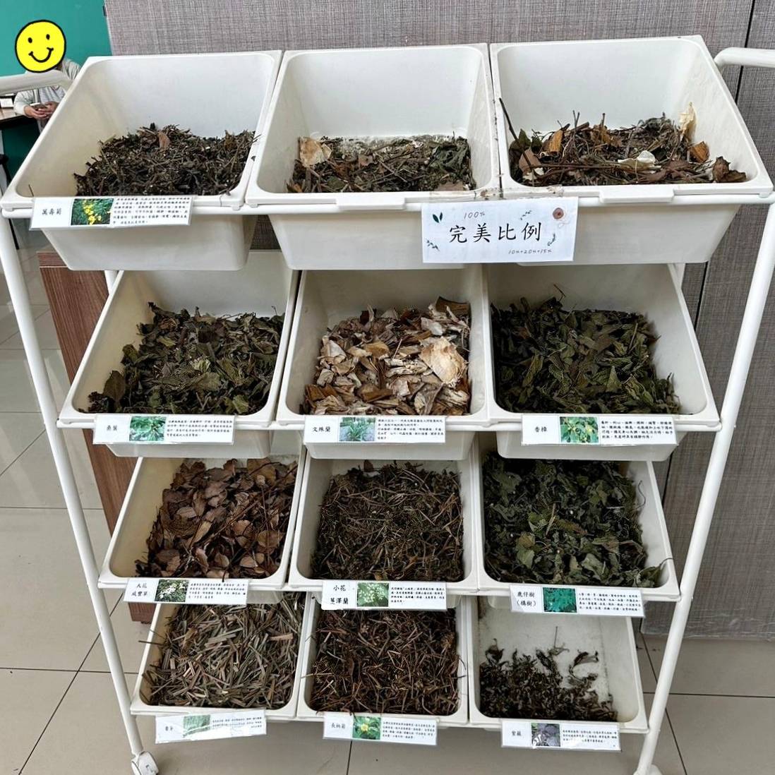 彰化縣社頭鄉露營推薦｜Qinshui Resort清水那方豪華露營｜全國唯一可以泡溫泉的豪華露營，近擁大片綠意生態，適合各齡層之免裝備懶人露營入住心得分享！