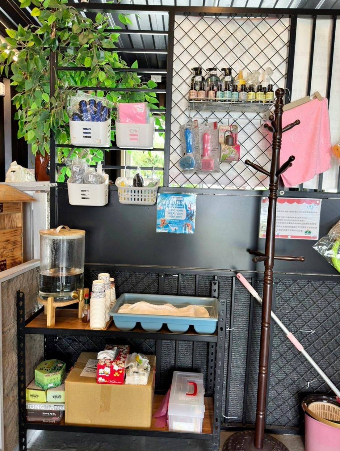 台中寵物聚會包場推薦|台中市南屯區動物空間Animal Space寵物友善餐廳|毛孩專屬戲水泳池、大片草皮開心奔跑、精緻美味輕食餐點,帶著毛小孩一起來玩樂! - 第32張圖 台中寵物聚會包場推薦|台中市南屯區動物空間Animal Space寵物友善餐廳|毛孩專屬戲水泳池、大片草皮開心奔跑、精緻美味輕食餐點,帶著毛小孩一起來玩樂!
