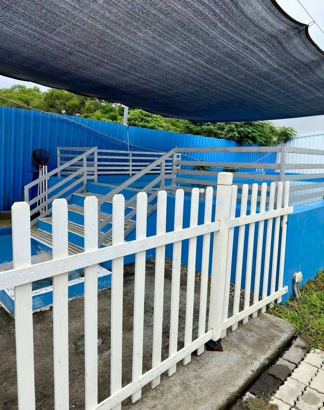 台中寵物聚會包場推薦|台中市南屯區動物空間Animal Space寵物友善餐廳|毛孩專屬戲水泳池、大片草皮開心奔跑、精緻美味輕食餐點,帶著毛小孩一起來玩樂! - 第42張圖 台中寵物聚會包場推薦|台中市南屯區動物空間Animal Space寵物友善餐廳|毛孩專屬戲水泳池、大片草皮開心奔跑、精緻美味輕食餐點,帶著毛小孩一起來玩樂!