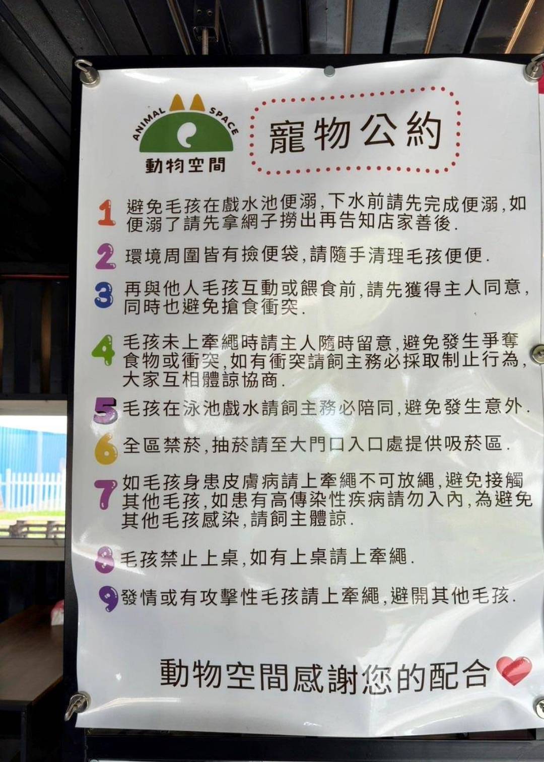 台中寵物聚會包場推薦|台中市南屯區動物空間Animal Space寵物友善餐廳|毛孩專屬戲水泳池、大片草皮開心奔跑、精緻美味輕食餐點,帶著毛小孩一起來玩樂! - 第25張圖 台中寵物聚會包場推薦|台中市南屯區動物空間Animal Space寵物友善餐廳|毛孩專屬戲水泳池、大片草皮開心奔跑、精緻美味輕食餐點,帶著毛小孩一起來玩樂!