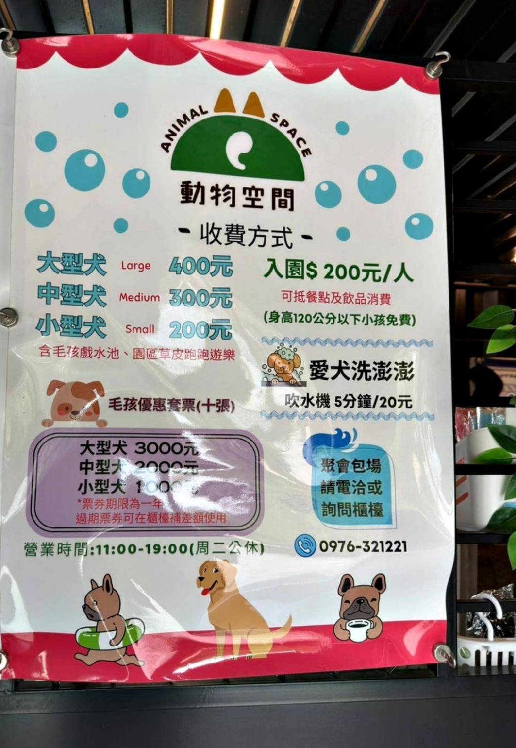 台中寵物聚會包場推薦|台中市南屯區動物空間Animal Space寵物友善餐廳|毛孩專屬戲水泳池、大片草皮開心奔跑、精緻美味輕食餐點,帶著毛小孩一起來玩樂! - 第26張圖 台中寵物聚會包場推薦|台中市南屯區動物空間Animal Space寵物友善餐廳|毛孩專屬戲水泳池、大片草皮開心奔跑、精緻美味輕食餐點,帶著毛小孩一起來玩樂!