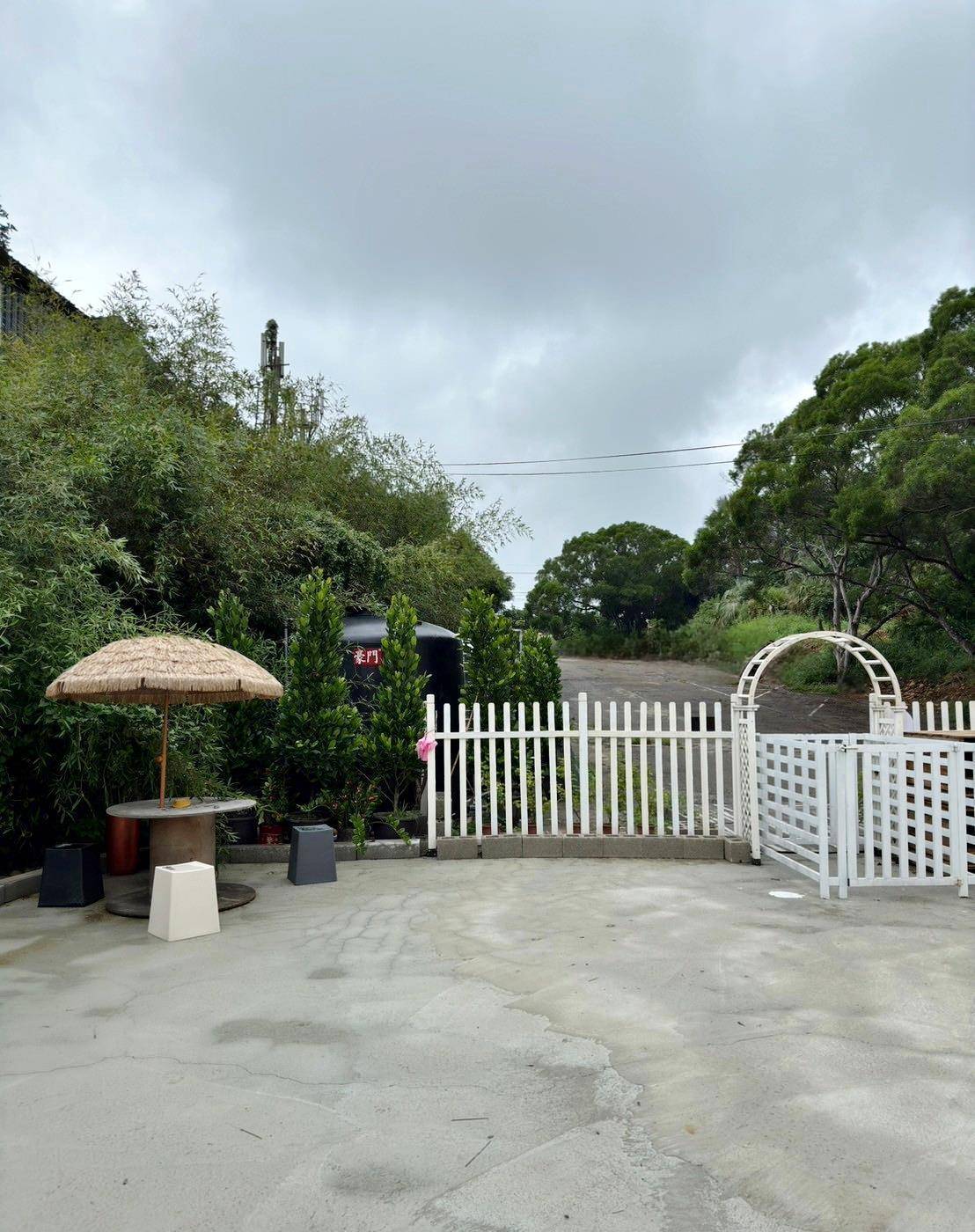 台中寵物聚會包場推薦|台中市南屯區動物空間Animal Space寵物友善餐廳|毛孩專屬戲水泳池、大片草皮開心奔跑、精緻美味輕食餐點,帶著毛小孩一起來玩樂! - 第7張圖 台中寵物聚會包場推薦|台中市南屯區動物空間Animal Space寵物友善餐廳|毛孩專屬戲水泳池、大片草皮開心奔跑、精緻美味輕食餐點,帶著毛小孩一起來玩樂!
