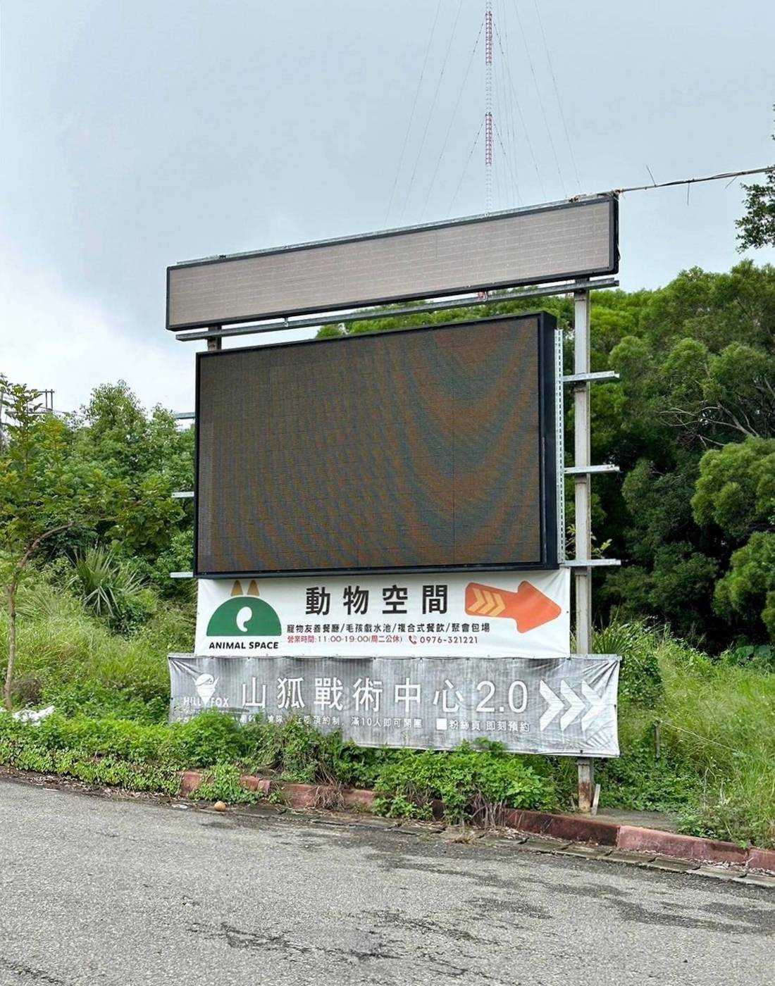 台中寵物聚會包場推薦|台中市南屯區動物空間Animal Space寵物友善餐廳|毛孩專屬戲水泳池、大片草皮開心奔跑、精緻美味輕食餐點,帶著毛小孩一起來玩樂! - 第10張圖 台中寵物聚會包場推薦|台中市南屯區動物空間Animal Space寵物友善餐廳|毛孩專屬戲水泳池、大片草皮開心奔跑、精緻美味輕食餐點,帶著毛小孩一起來玩樂!