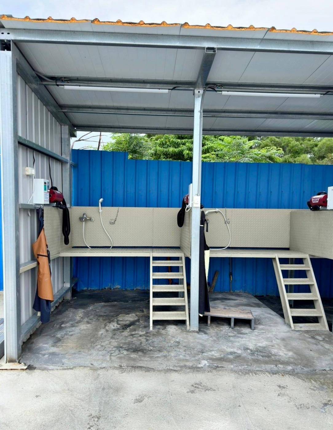 台中寵物聚會包場推薦|台中市南屯區動物空間Animal Space寵物友善餐廳|毛孩專屬戲水泳池、大片草皮開心奔跑、精緻美味輕食餐點,帶著毛小孩一起來玩樂! - 第46張圖 台中寵物聚會包場推薦|台中市南屯區動物空間Animal Space寵物友善餐廳|毛孩專屬戲水泳池、大片草皮開心奔跑、精緻美味輕食餐點,帶著毛小孩一起來玩樂!