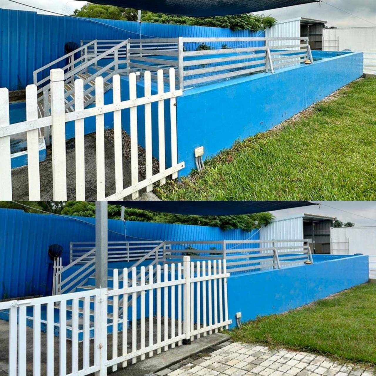 台中寵物聚會包場推薦|台中市南屯區動物空間Animal Space寵物友善餐廳|毛孩專屬戲水泳池、大片草皮開心奔跑、精緻美味輕食餐點,帶著毛小孩一起來玩樂! - 第43張圖 台中寵物聚會包場推薦|台中市南屯區動物空間Animal Space寵物友善餐廳|毛孩專屬戲水泳池、大片草皮開心奔跑、精緻美味輕食餐點,帶著毛小孩一起來玩樂!