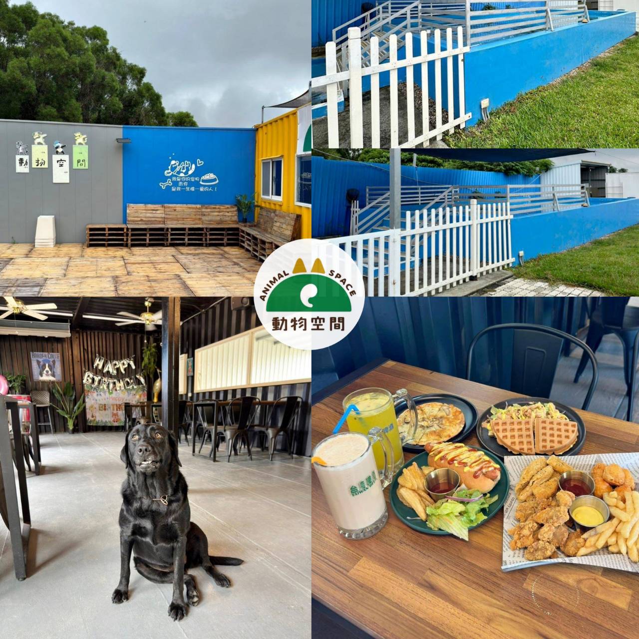 台中寵物聚會包場推薦|台中市南屯區動物空間Animal Space寵物友善餐廳|毛孩專屬戲水泳池、大片草皮開心奔跑、精緻美味輕食餐點,帶著毛小孩一起來玩樂! - 第4張圖 台中寵物聚會包場推薦|台中市南屯區動物空間Animal Space寵物友善餐廳|毛孩專屬戲水泳池、大片草皮開心奔跑、精緻美味輕食餐點,帶著毛小孩一起來玩樂!