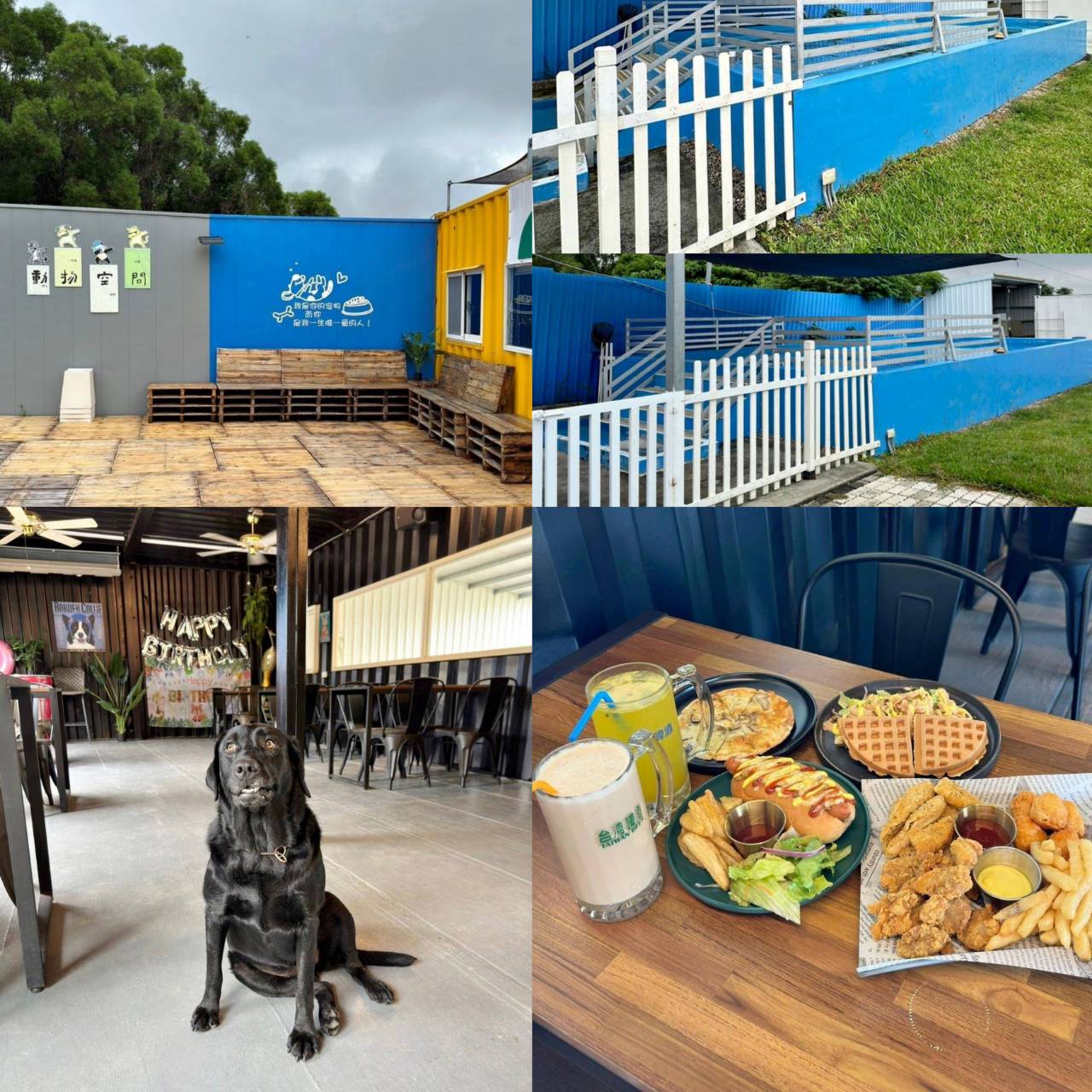 台中寵物聚會包場推薦|台中市南屯區動物空間Animal Space寵物友善餐廳|毛孩專屬戲水泳池、大片草皮開心奔跑、精緻美味輕食餐點,帶著毛小孩一起來玩樂! - 第88張圖 台中寵物聚會包場推薦|台中市南屯區動物空間Animal Space寵物友善餐廳|毛孩專屬戲水泳池、大片草皮開心奔跑、精緻美味輕食餐點,帶著毛小孩一起來玩樂!