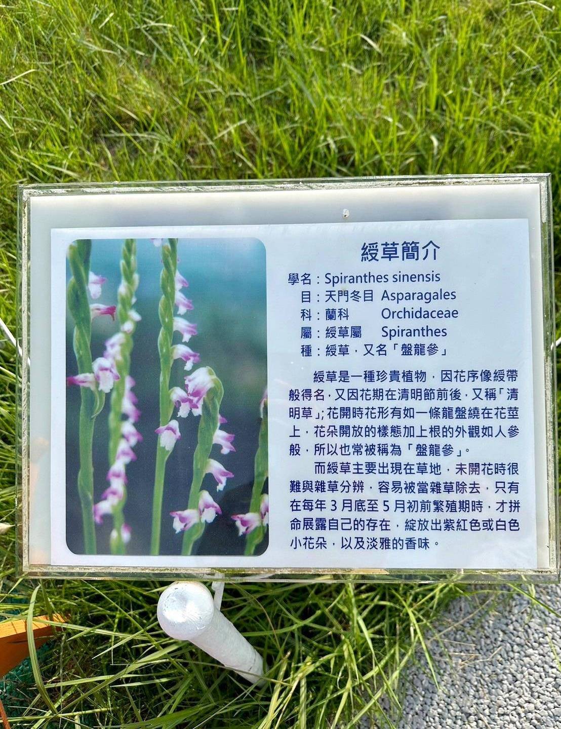 台中清水區住宿推薦｜高美燈塔園區｜全台唯一可泊宿燈塔園區民宿，登塔可眺望高美濕地全景之高美燈塔園區入住心得分享！