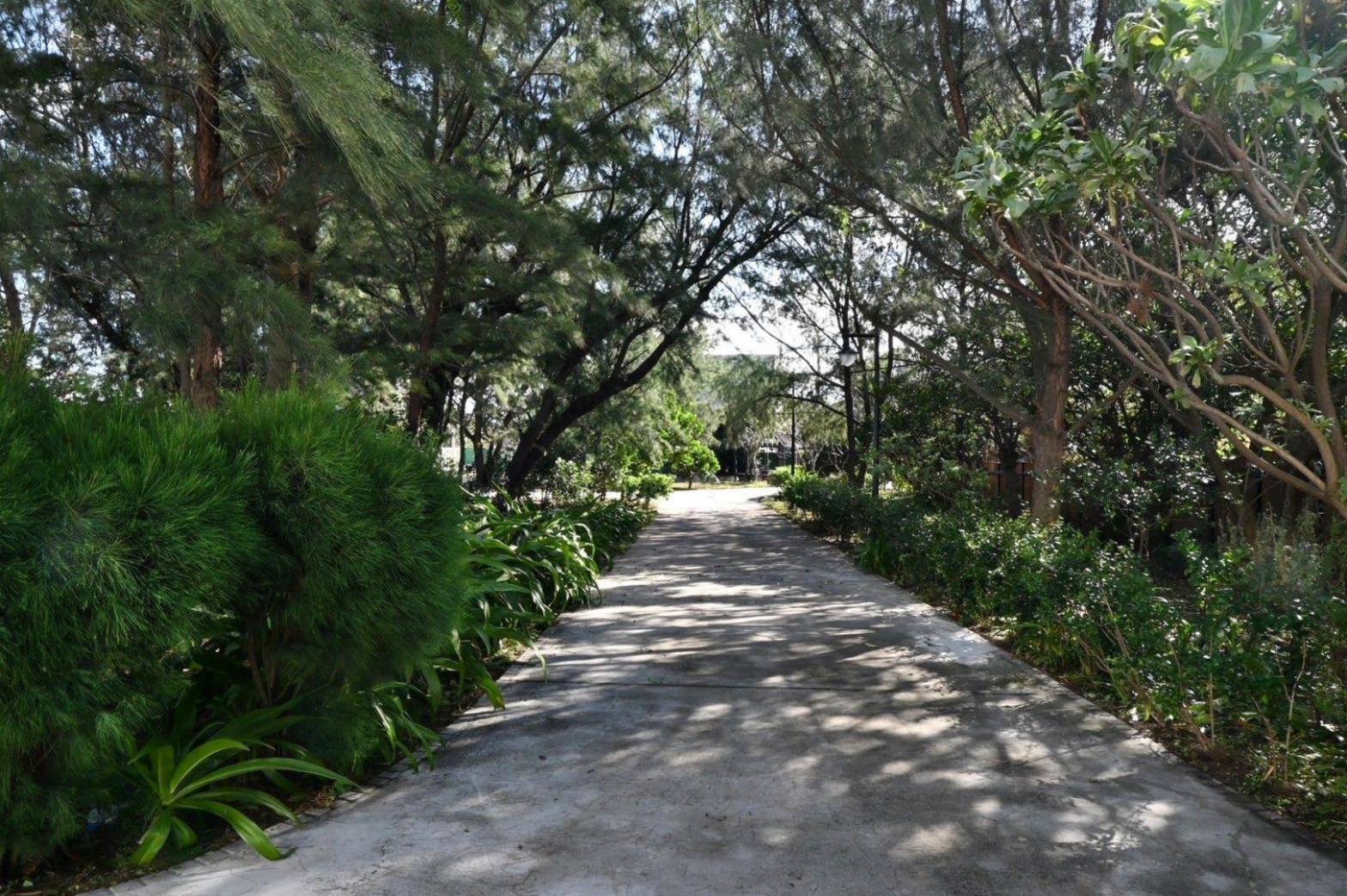 台中市大安區露營推薦|Nayang Beach Glamping向海那漾豪華露營|全台首座濱海豪華露營區,近攬湛藍海景風光,適合各齡層之免裝備懶人露營入住心得分享! - 第104張圖 台中市大安區露營推薦|Nayang Beach Glamping向海那漾豪華露營|全台首座濱海豪華露營區,近攬湛藍海景風光,適合各齡層之免裝備懶人露營入住心得分享!