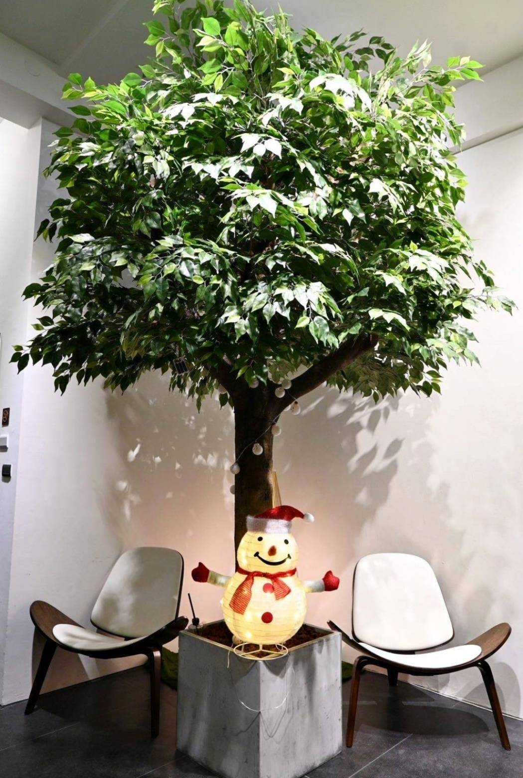 台南市安平區住宿推薦|安平胡桃民宿Anping Walnut BnB|安平區首間設有日式景觀泡腳區之台南包棟民宿,附寵物友善客房,營造舒適安謐的居住氛圍之胡桃民宿入住心得分享! - 第67張圖 台南市安平區住宿推薦|安平胡桃民宿Anping Walnut BnB|安平區首間設有日式景觀泡腳區之台南包棟民宿,附寵物友善客房,營造舒適安謐的居住氛圍之胡桃民宿入住心得分享!