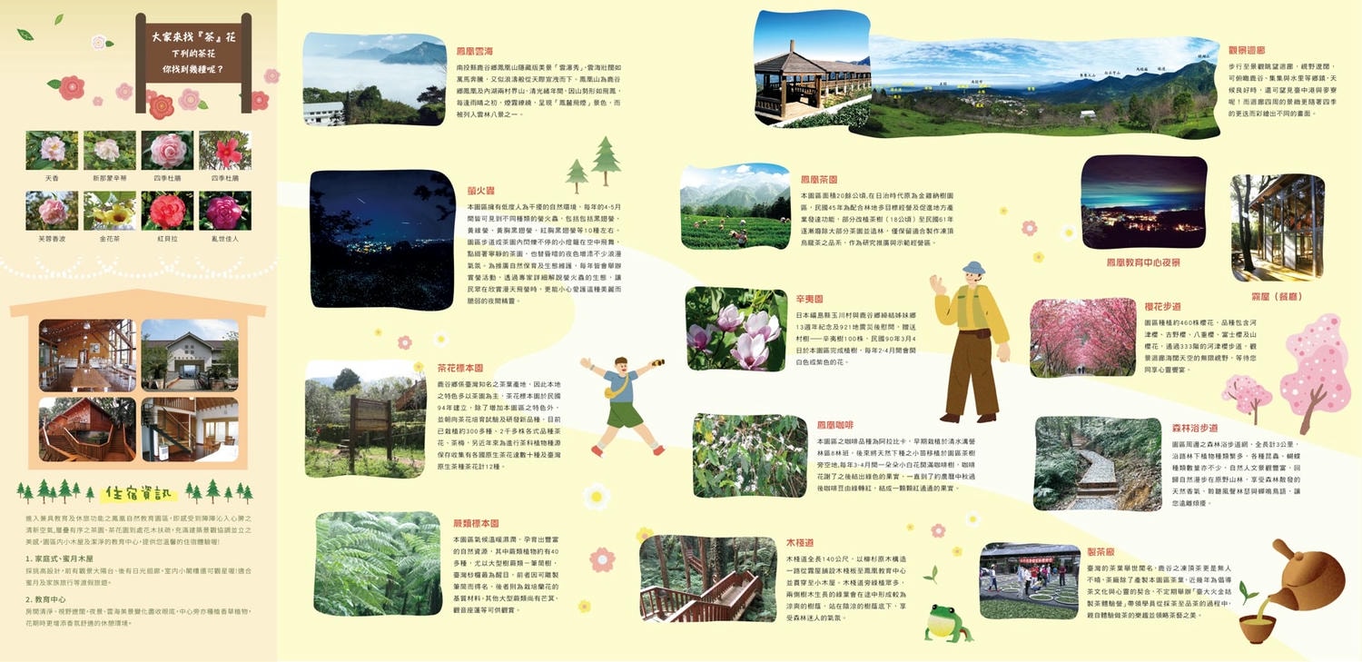 南投縣鹿谷鄉住宿推薦｜鳳凰⦁森之鳴｜鳳凰自然教育園區生態導覽，玻璃霧屋一泊二食，遠離塵囂靜謐木屋之鳳凰·森之鳴入住心得分享！