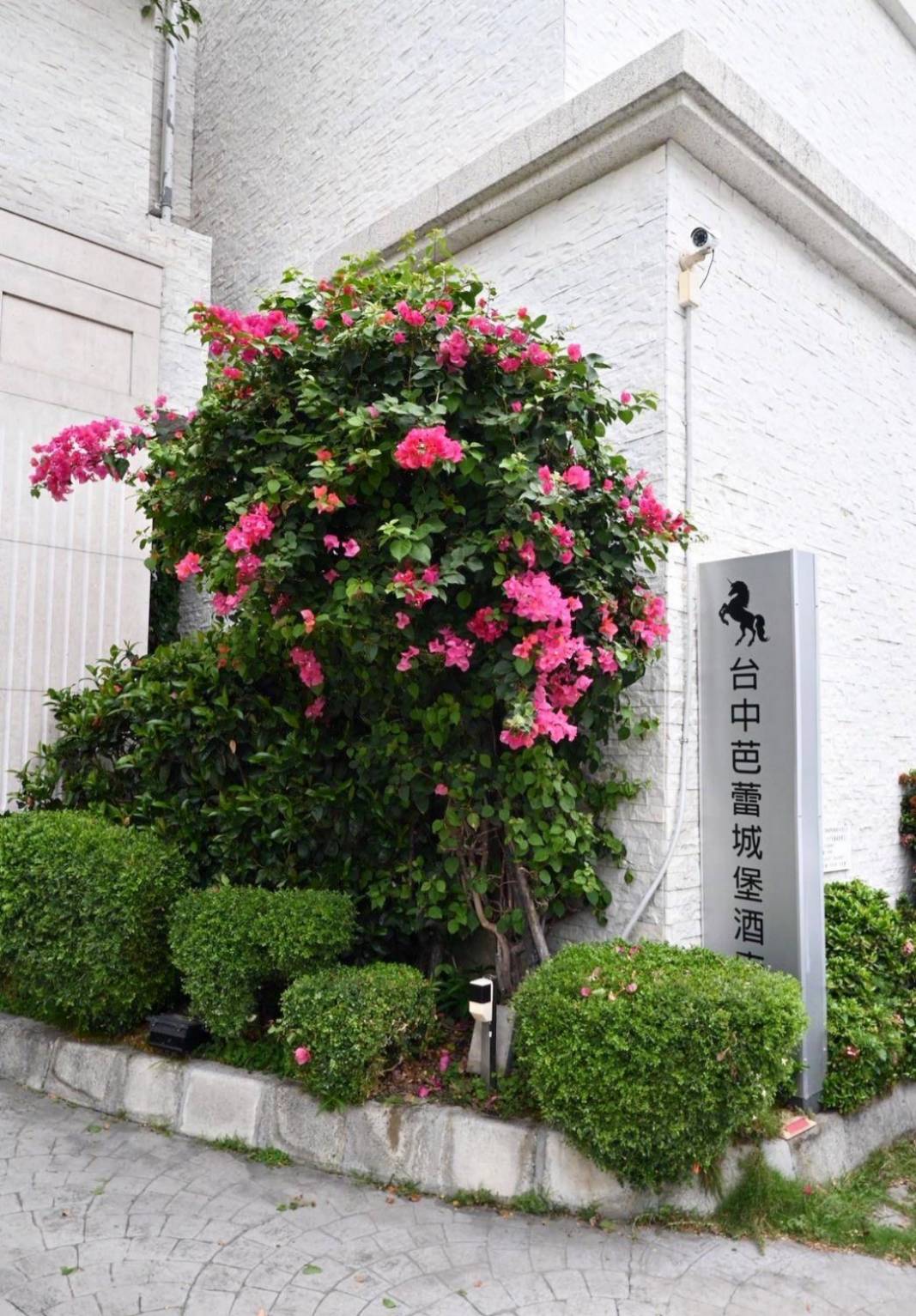 台中市南屯區住宿推薦|台中芭蕾城堡酒店|人與自然和諧共生的空間設計,踏入房間處處藏著驚喜,一泊一食,沉浸於靜謐自在氛圍中,芭蕾城堡酒店開箱分享! - 第8張圖 台中市南屯區住宿推薦|台中芭蕾城堡酒店|人與自然和諧共生的空間設計,踏入房間處處藏著驚喜,一泊一食,沉浸於靜謐自在氛圍中,芭蕾城堡酒店開箱分享!