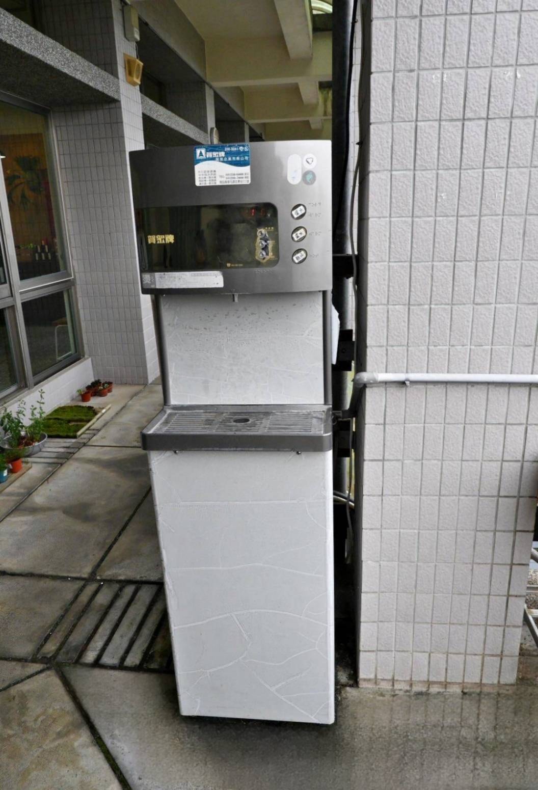 南投縣鹿谷鄉住宿推薦｜鳳凰⦁森之鳴｜鳳凰自然教育園區生態導覽，玻璃霧屋一泊二食，遠離塵囂靜謐木屋之鳳凰·森之鳴入住心得分享！