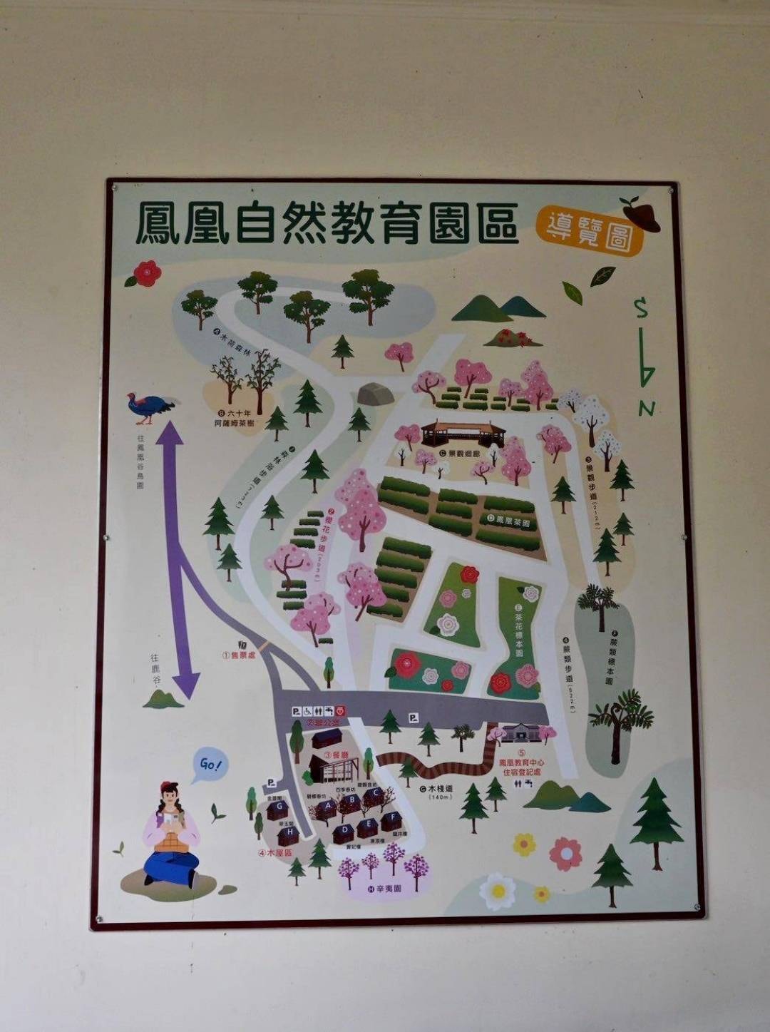 南投縣鹿谷鄉住宿推薦｜鳳凰⦁森之鳴｜鳳凰自然教育園區生態導覽，玻璃霧屋一泊二食，遠離塵囂靜謐木屋之鳳凰·森之鳴入住心得分享！