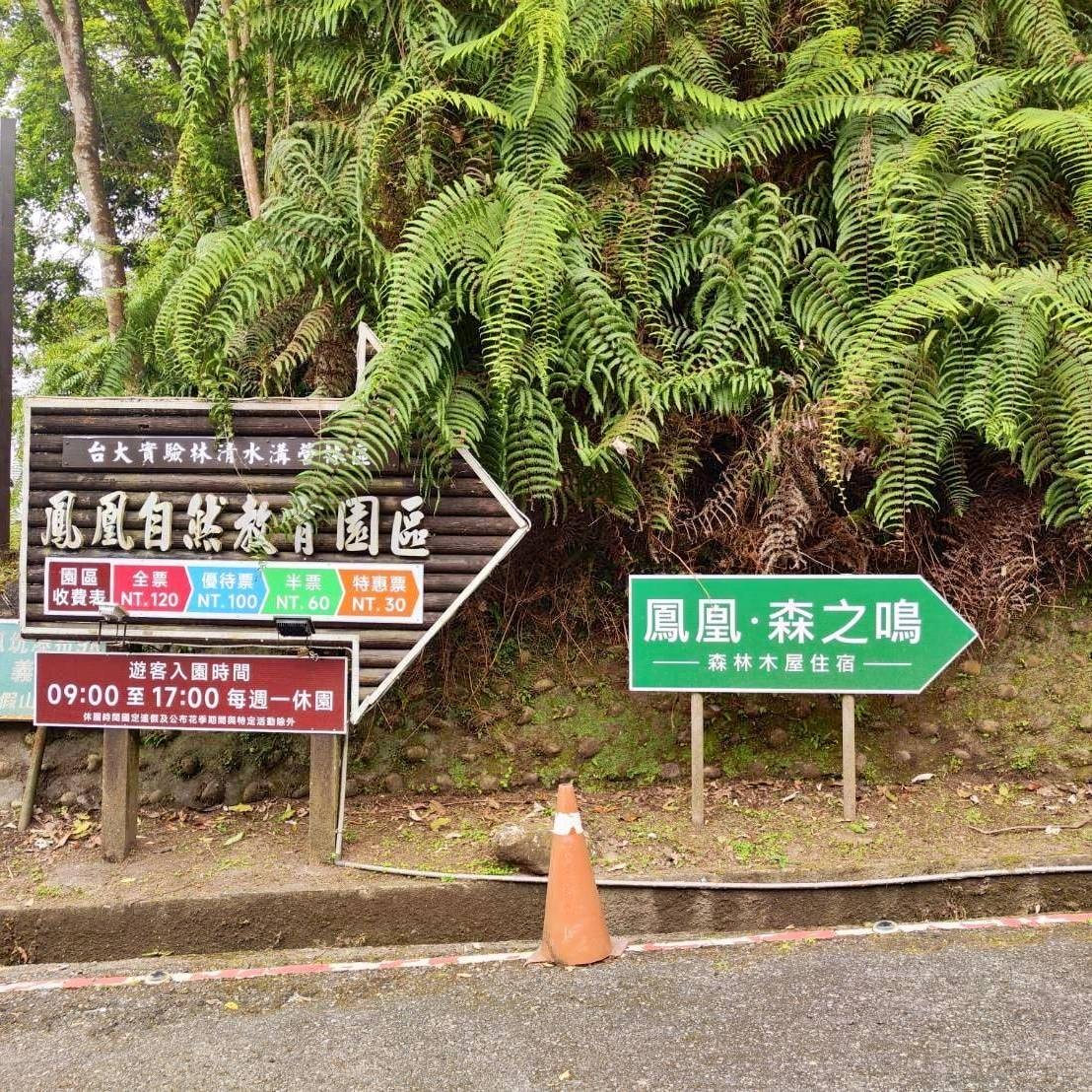 南投縣鹿谷鄉住宿推薦｜鳳凰⦁森之鳴｜鳳凰自然教育園區生態導覽，玻璃霧屋一泊二食，遠離塵囂靜謐木屋之鳳凰·森之鳴入住心得分享！