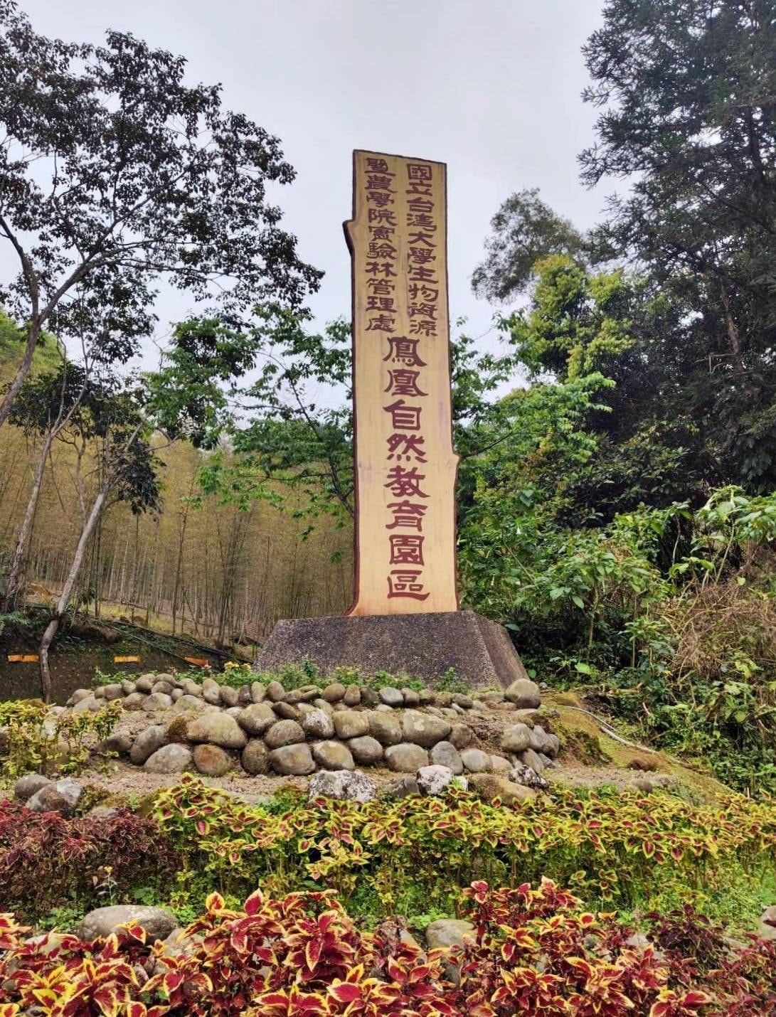 南投縣鹿谷鄉住宿推薦｜鳳凰⦁森之鳴｜鳳凰自然教育園區生態導覽，玻璃霧屋一泊二食，遠離塵囂靜謐木屋之鳳凰·森之鳴入住心得分享！