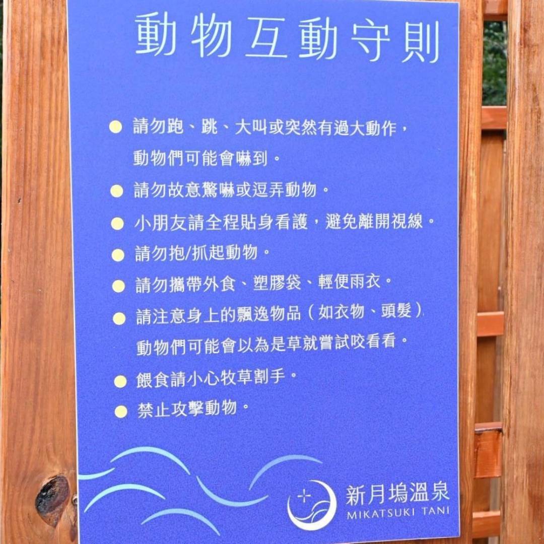 新竹縣尖石鄉溫泉會館推薦｜新月塢溫泉會館｜夜湯含早餐點心吧、可愛動物餵食體驗、附停車位，林木環繞泡湯放鬆，夜湯房型一次滿足！