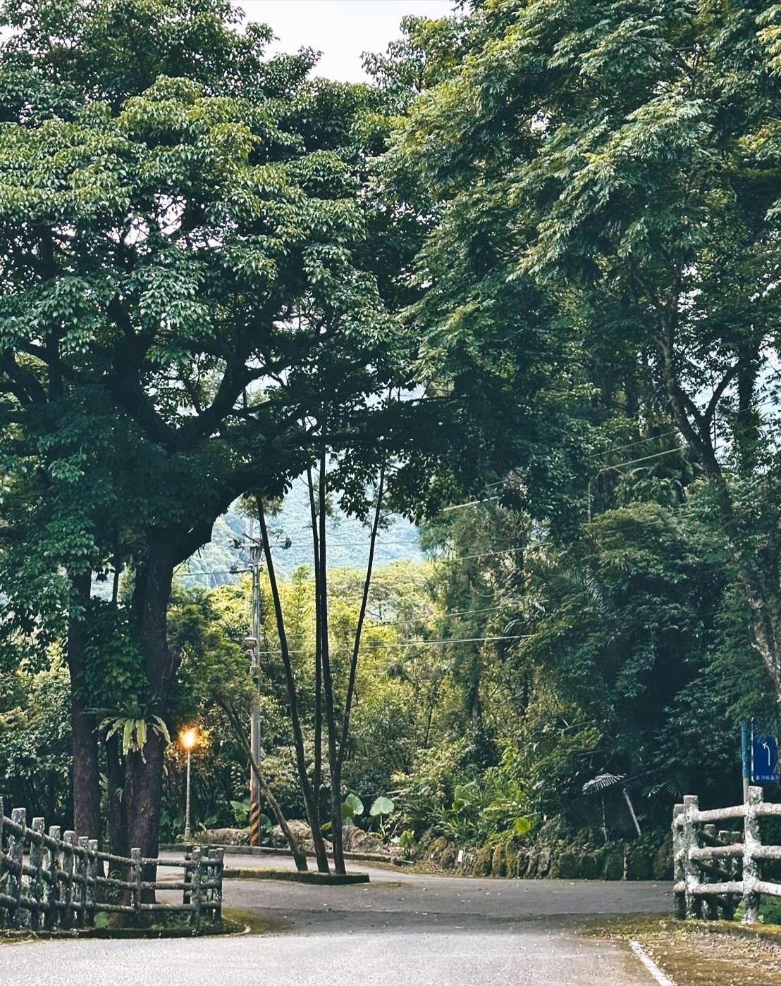 新竹縣尖石鄉溫泉會館推薦｜新月塢溫泉會館｜夜湯含早餐點心吧、可愛動物餵食體驗、附停車位，林木環繞泡湯放鬆，夜湯房型一次滿足！