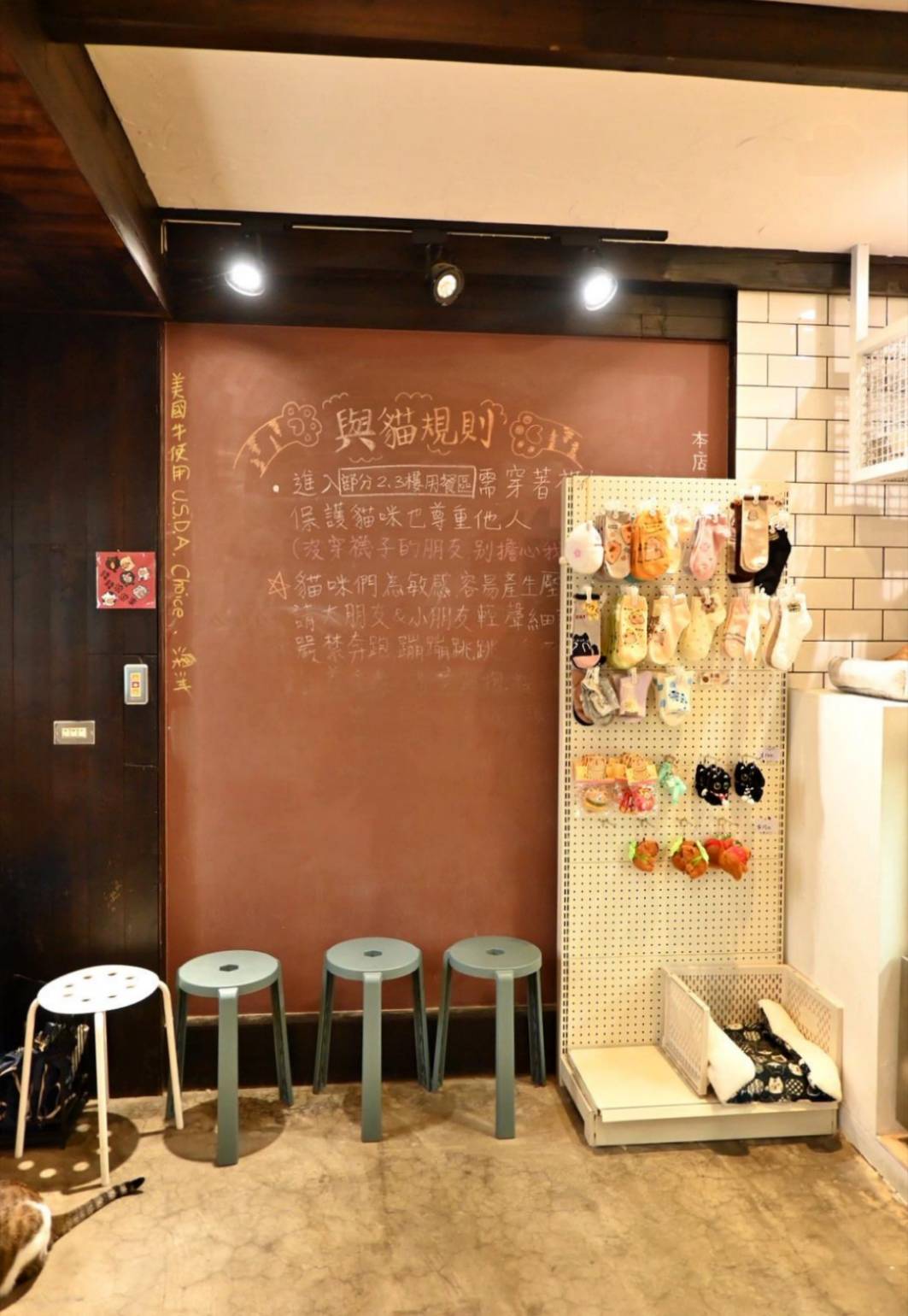 新竹咖啡廳推薦|新竹市北區招財咖啡|每日限量人氣餐點與手作甜點,水豚君與多隻貓咪陪伴,貓咪控必訪,甜點控一吃就愛上! - 第21張圖 新竹咖啡廳推薦|新竹市北區招財咖啡|每日限量人氣餐點與手作甜點,水豚君與多隻貓咪陪伴,貓咪控必訪,甜點控一吃就愛上!