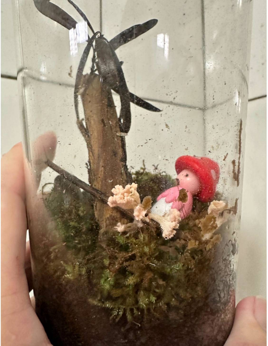 南投埔里親子旅遊｜豐年靈芝菇類生態農場｜免門票、趣味採菇樂、DIY生態瓶、鮮採菇火鍋｜交通、美食全攻略！