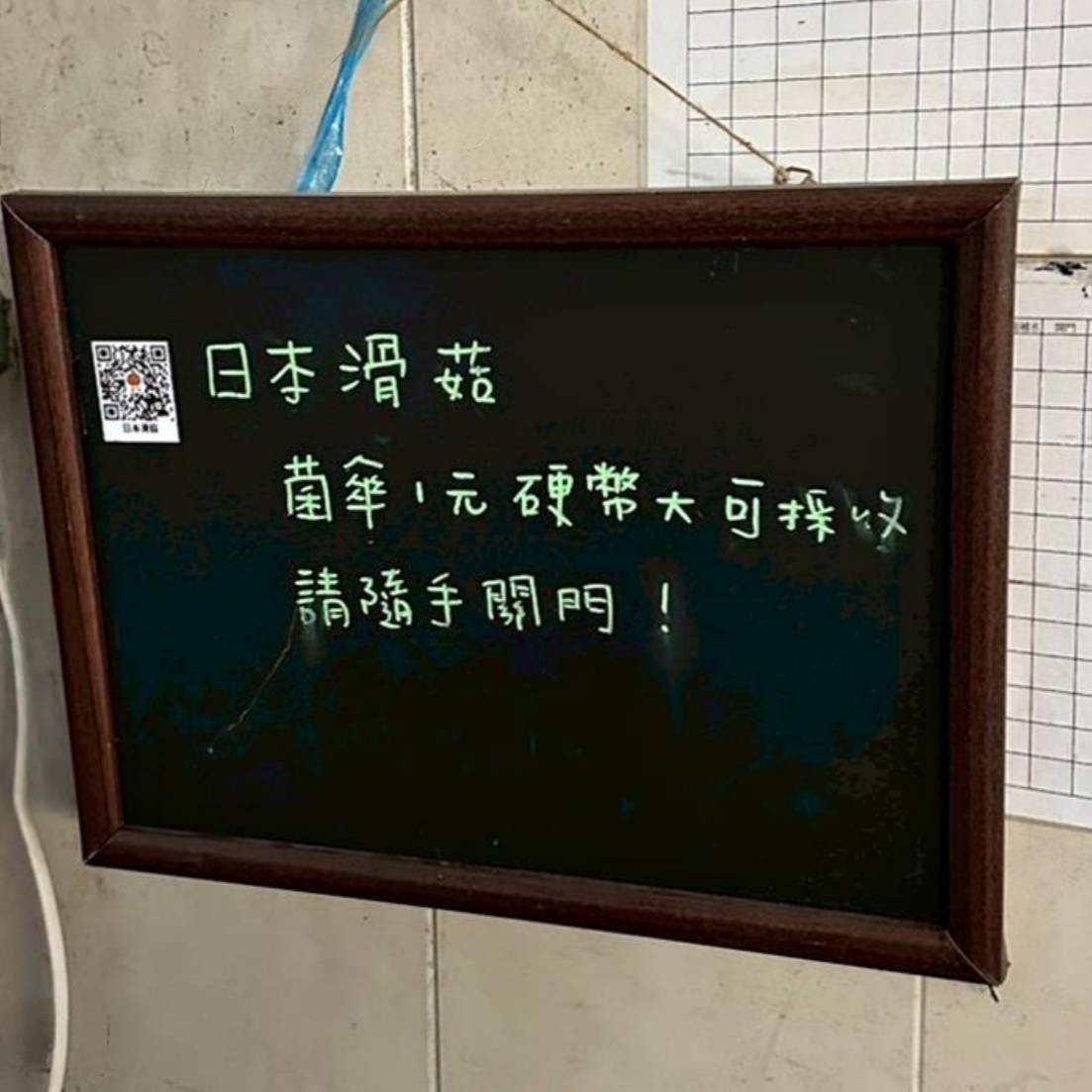 南投埔里親子旅遊｜豐年靈芝菇類生態農場｜免門票、趣味採菇樂、DIY生態瓶、鮮採菇火鍋｜交通、美食全攻略！