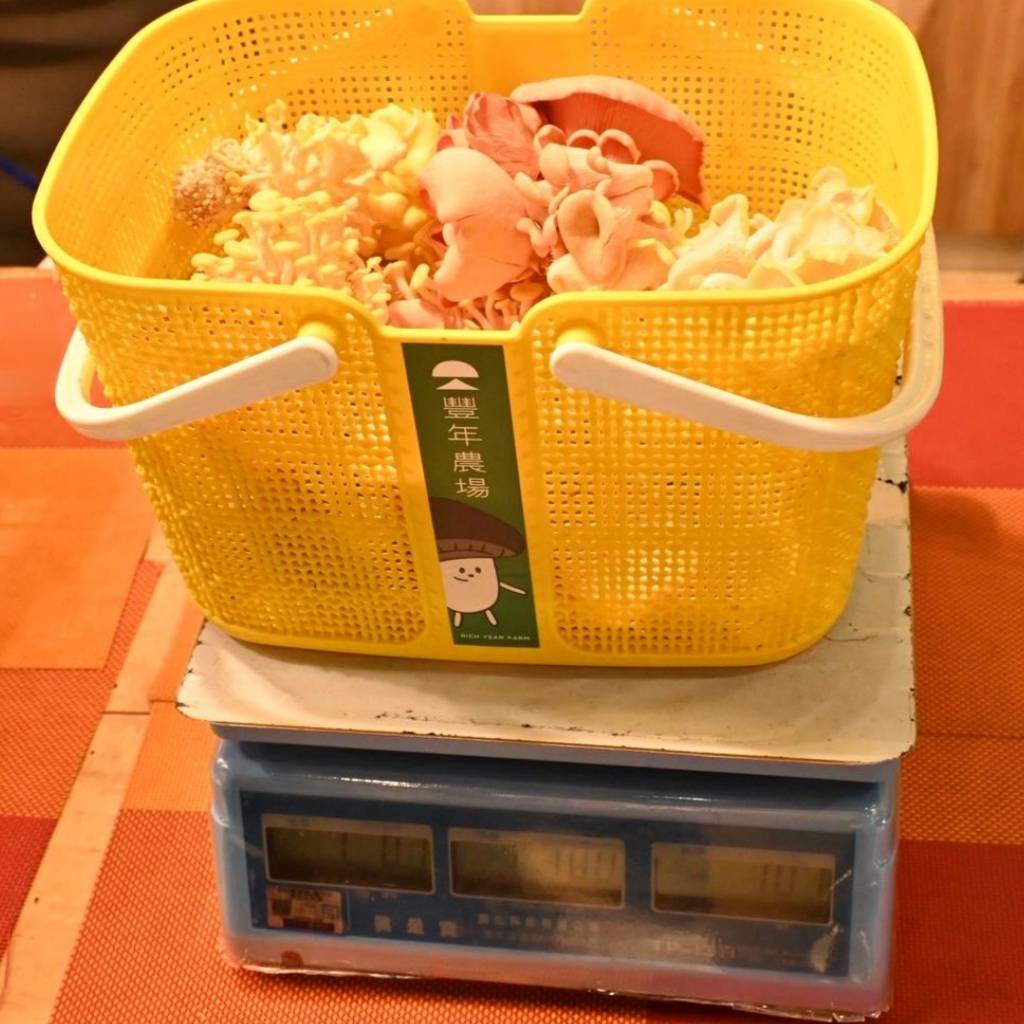 南投埔里親子旅遊｜豐年靈芝菇類生態農場｜免門票、趣味採菇樂、DIY生態瓶、鮮採菇火鍋｜交通、美食全攻略！