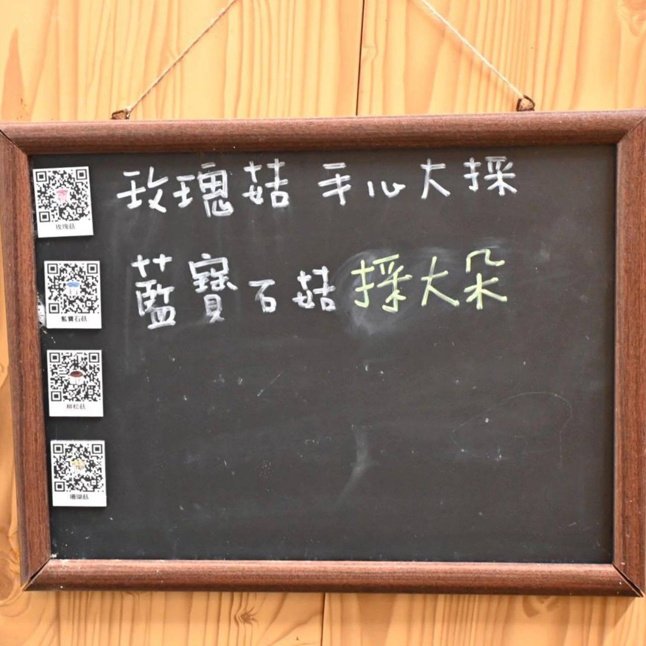 南投埔里親子旅遊｜豐年靈芝菇類生態農場｜免門票、趣味採菇樂、DIY生態瓶、鮮採菇火鍋｜交通、美食全攻略！