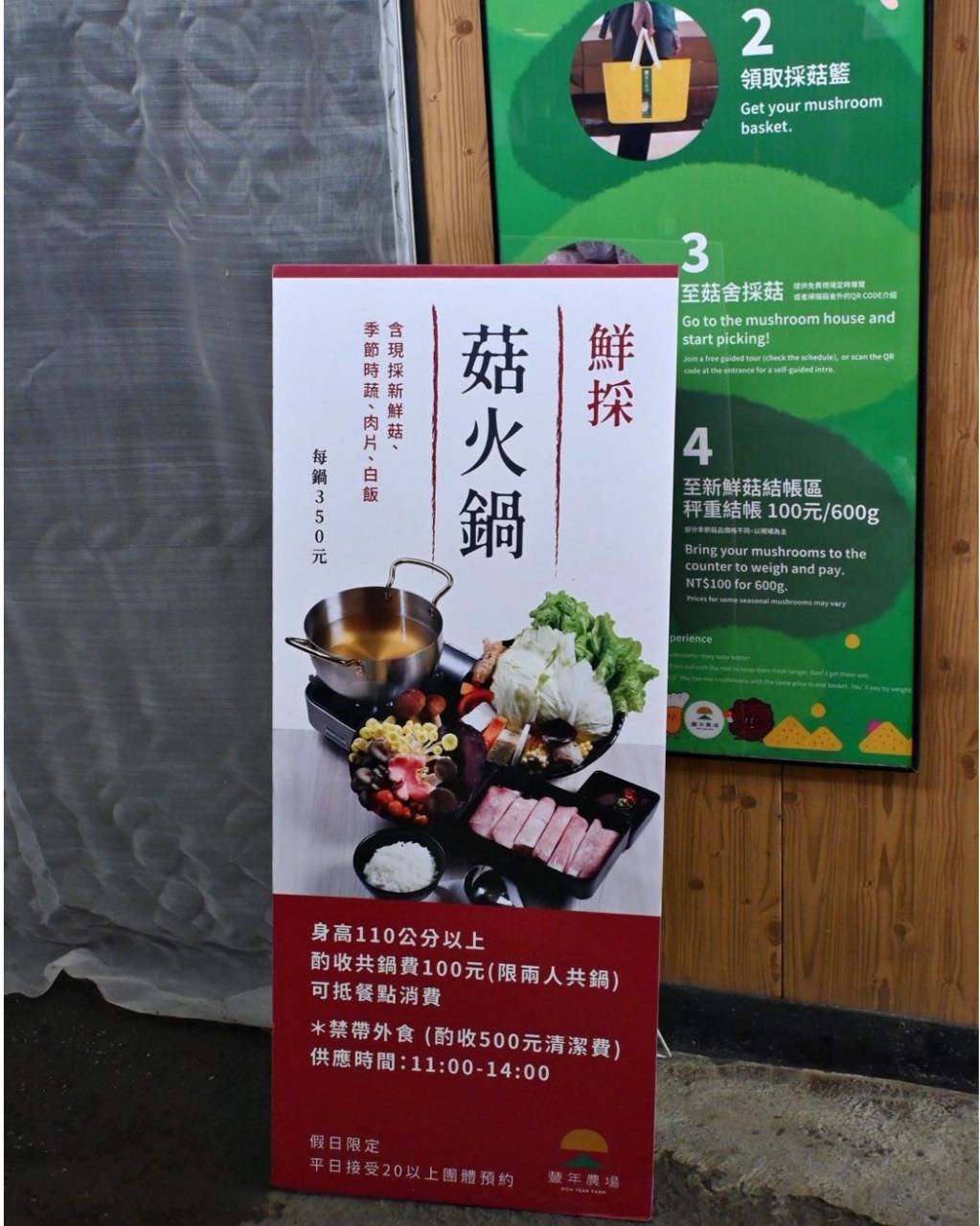 南投埔里親子旅遊｜豐年靈芝菇類生態農場｜免門票、趣味採菇樂、DIY生態瓶、鮮採菇火鍋｜交通、美食全攻略！