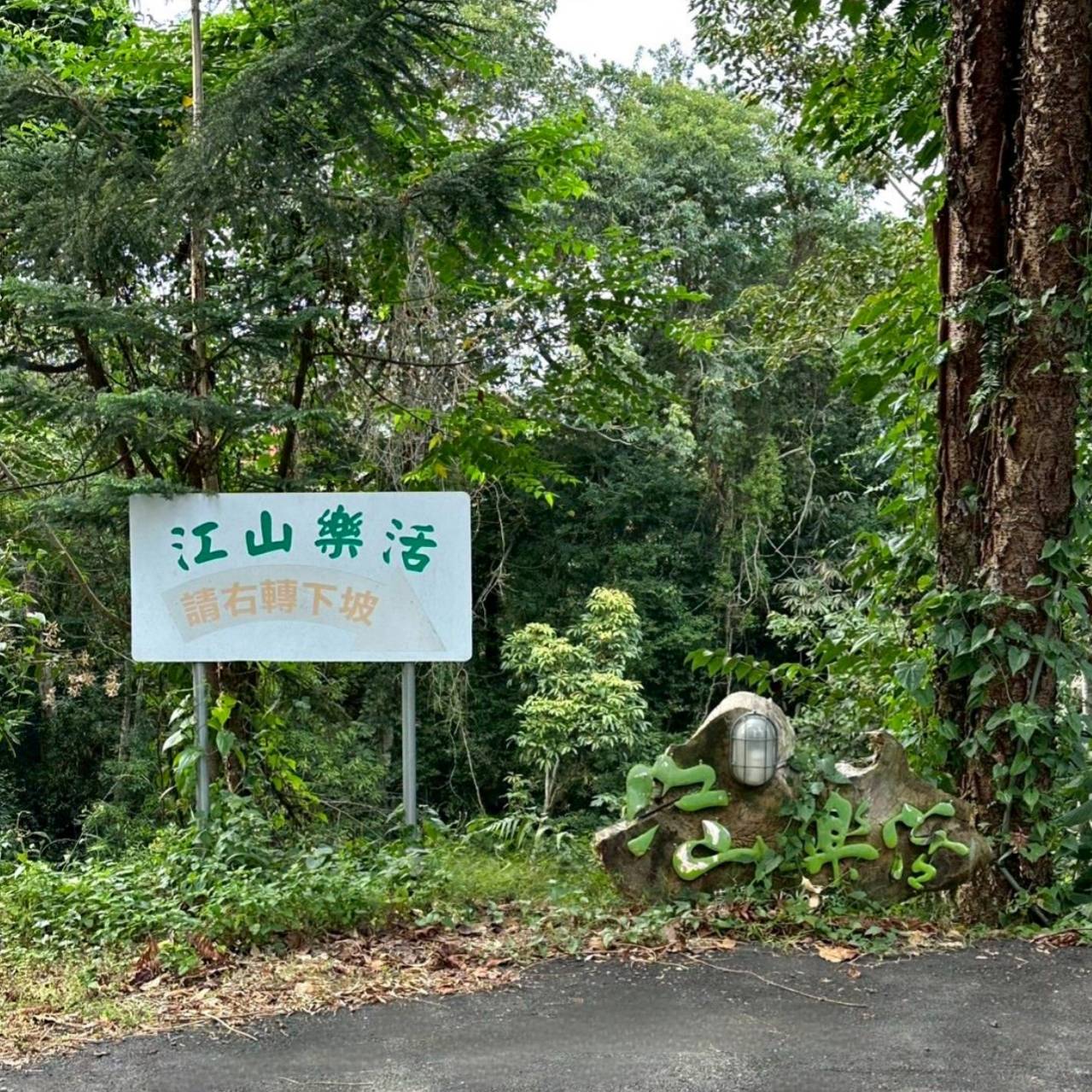 南投埔里住宿推薦｜江山樂活Lohas民宿｜青山環抱綠意，寵物友善悠然之美好入住心得！