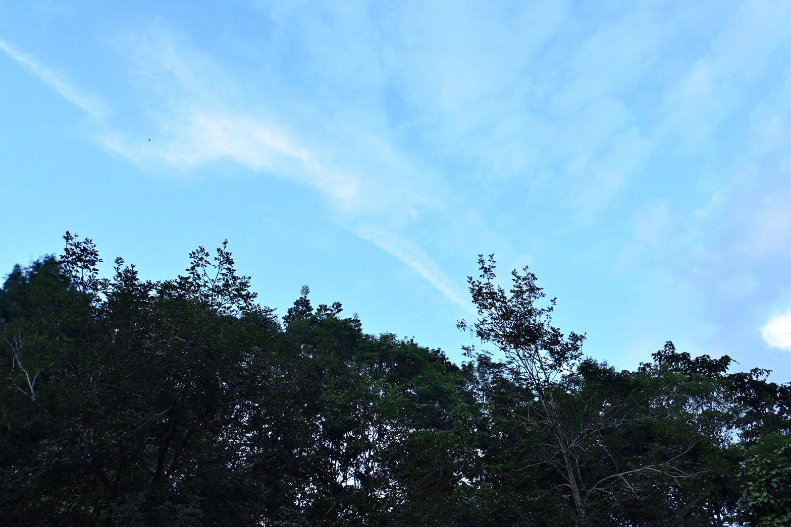 南投埔里住宿推薦｜江山樂活Lohas民宿｜青山環抱綠意，寵物友善悠然之美好入住心得！