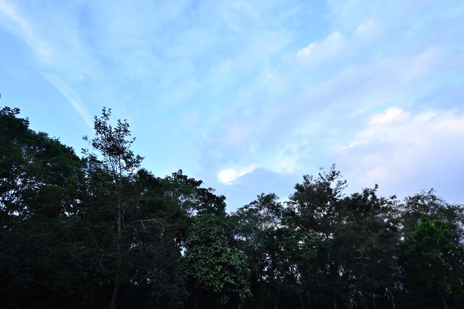 南投埔里住宿推薦｜江山樂活Lohas民宿｜青山環抱綠意，寵物友善悠然之美好入住心得！
