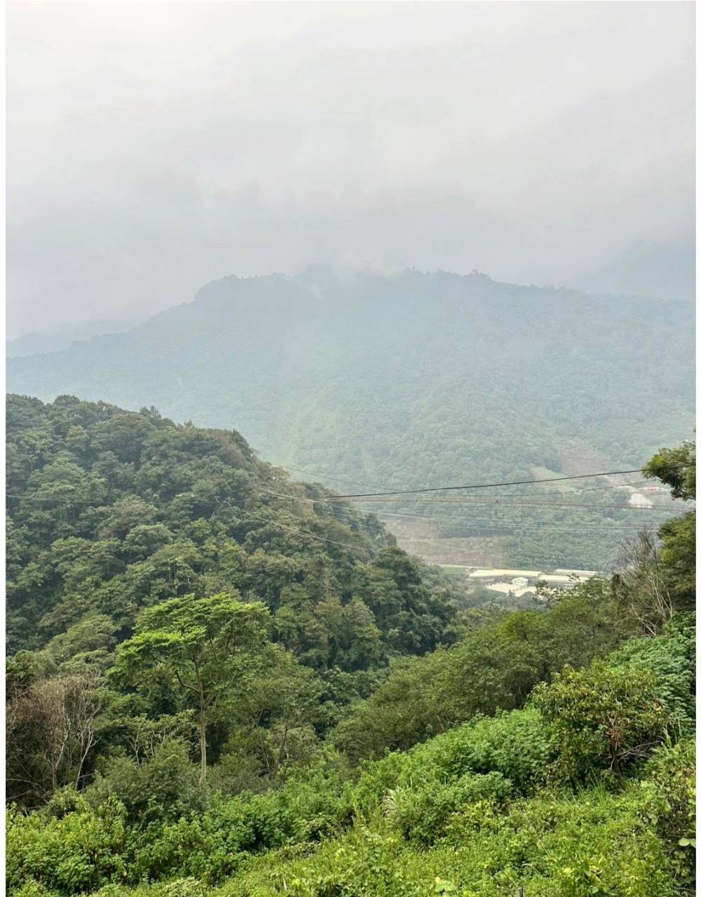 南投信義鄉東埔溫泉旅館推薦|東光行旅|弱鹼性碳酸泉、獨立湯屋、露天大眾泡湯池,一泊二食放鬆泡湯入住分享! - 第69張圖 南投信義鄉東埔溫泉旅館推薦|東光行旅|弱鹼性碳酸泉、獨立湯屋、露天大眾泡湯池,一泊二食放鬆泡湯入住分享!