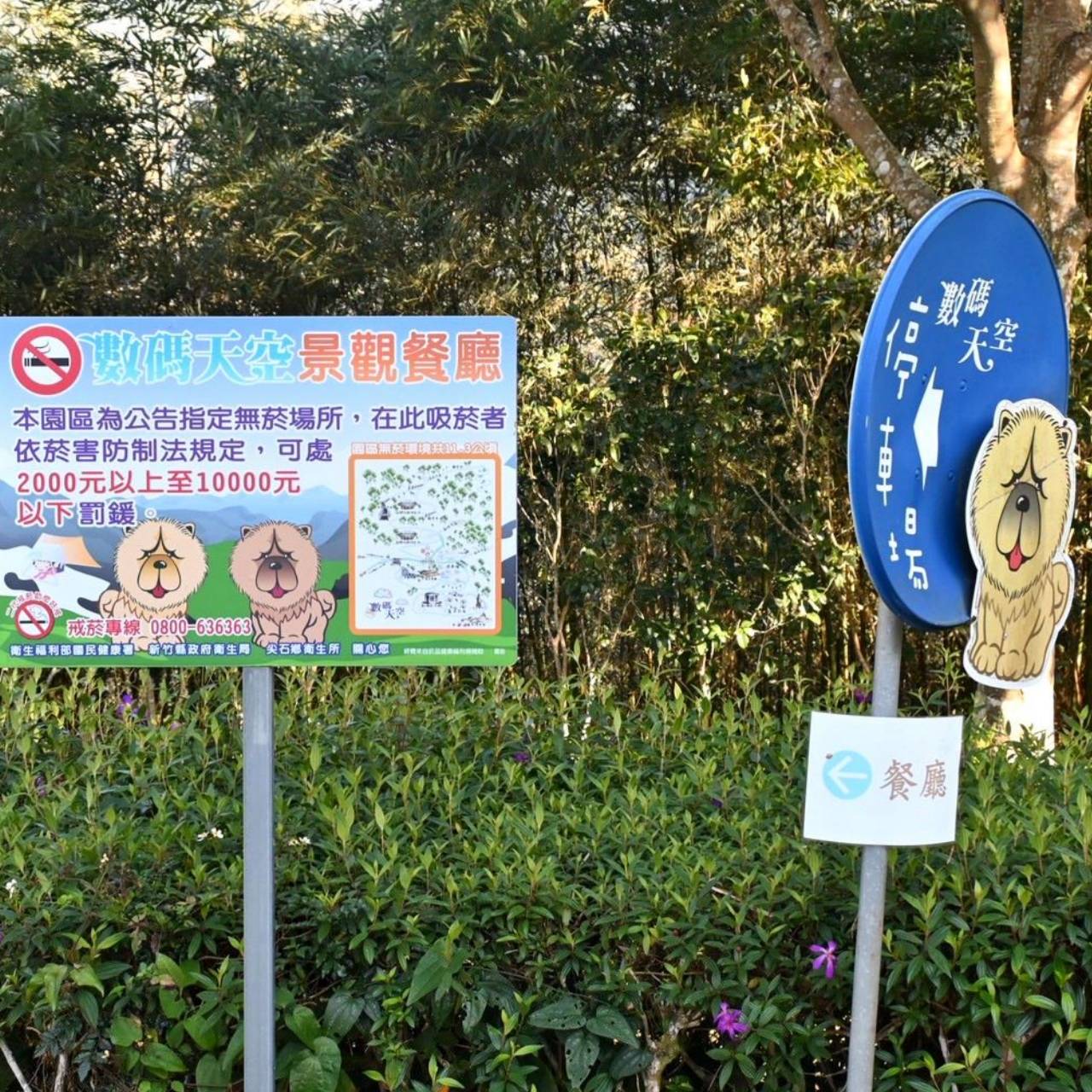 新竹寵物友善懶人露營推薦|數碼天空雲海景觀園區|入住海拔1200公尺雲海太空艙 心得全攻略 - 第25張圖 新竹寵物友善懶人露營推薦|數碼天空雲海景觀園區|入住海拔1200公尺雲海太空艙 心得全攻略