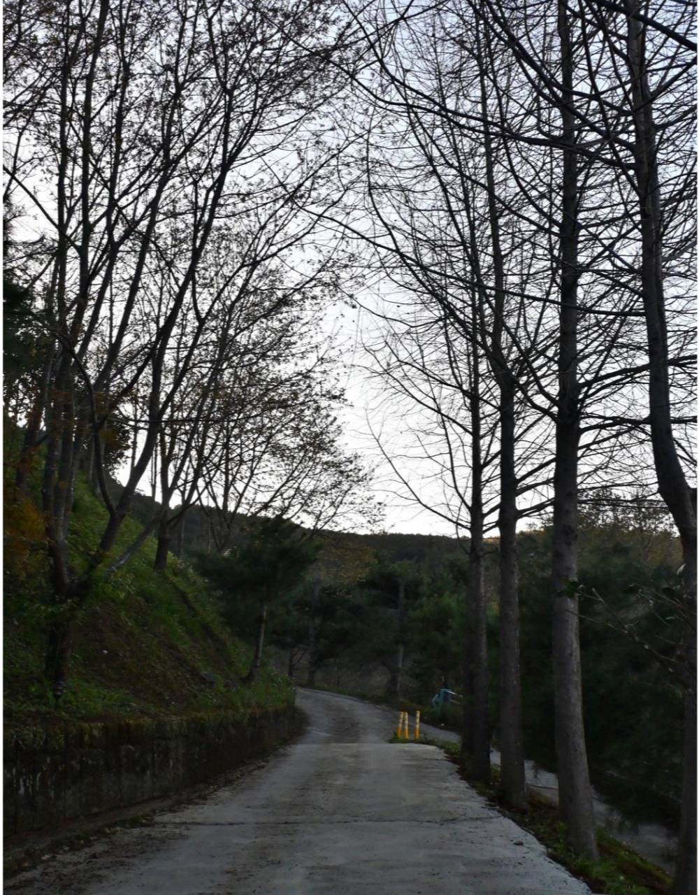 新竹寵物友善懶人露營推薦|數碼天空雲海景觀園區|入住海拔1200公尺雲海太空艙 心得全攻略 - 第96張圖 新竹寵物友善懶人露營推薦|數碼天空雲海景觀園區|入住海拔1200公尺雲海太空艙 心得全攻略